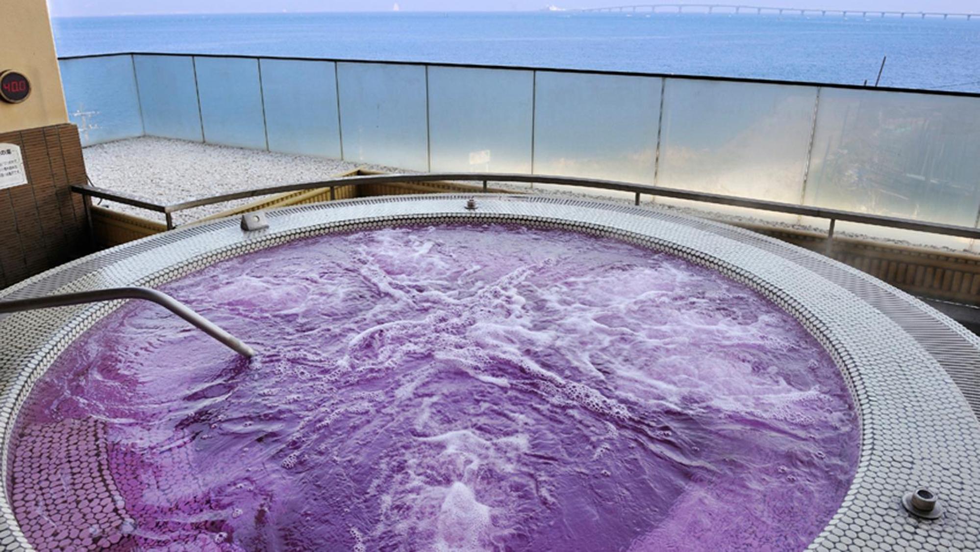 Ryugujo Spa Hotel Mikazuki Fujimitei
