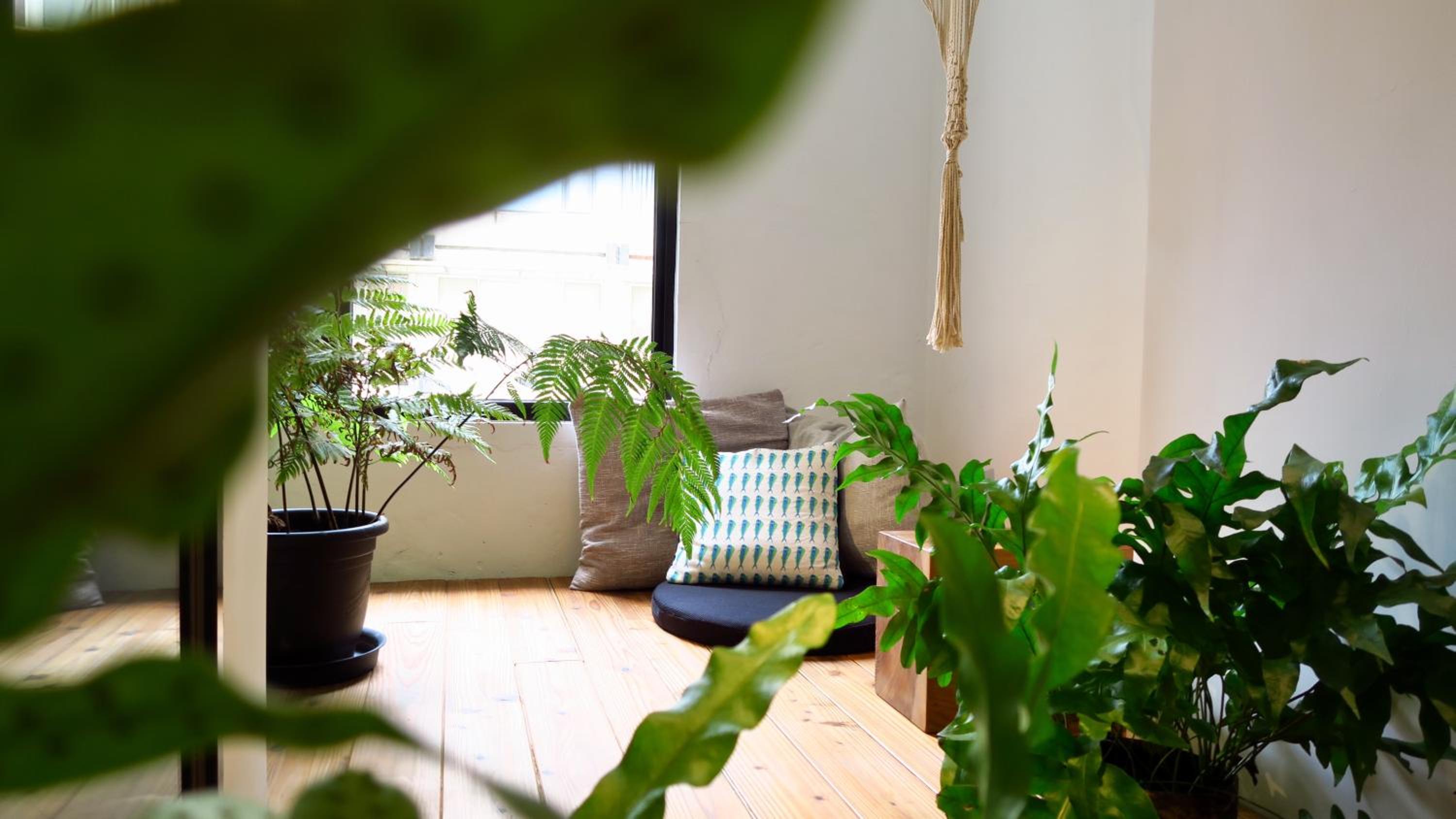 Star Hostel Taipei East