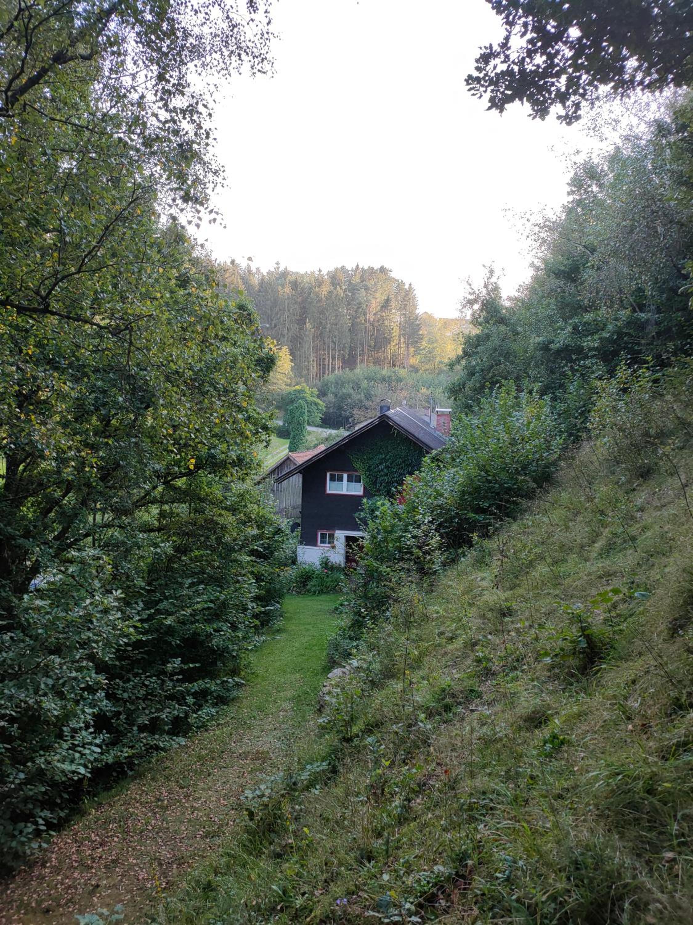 Photo 19