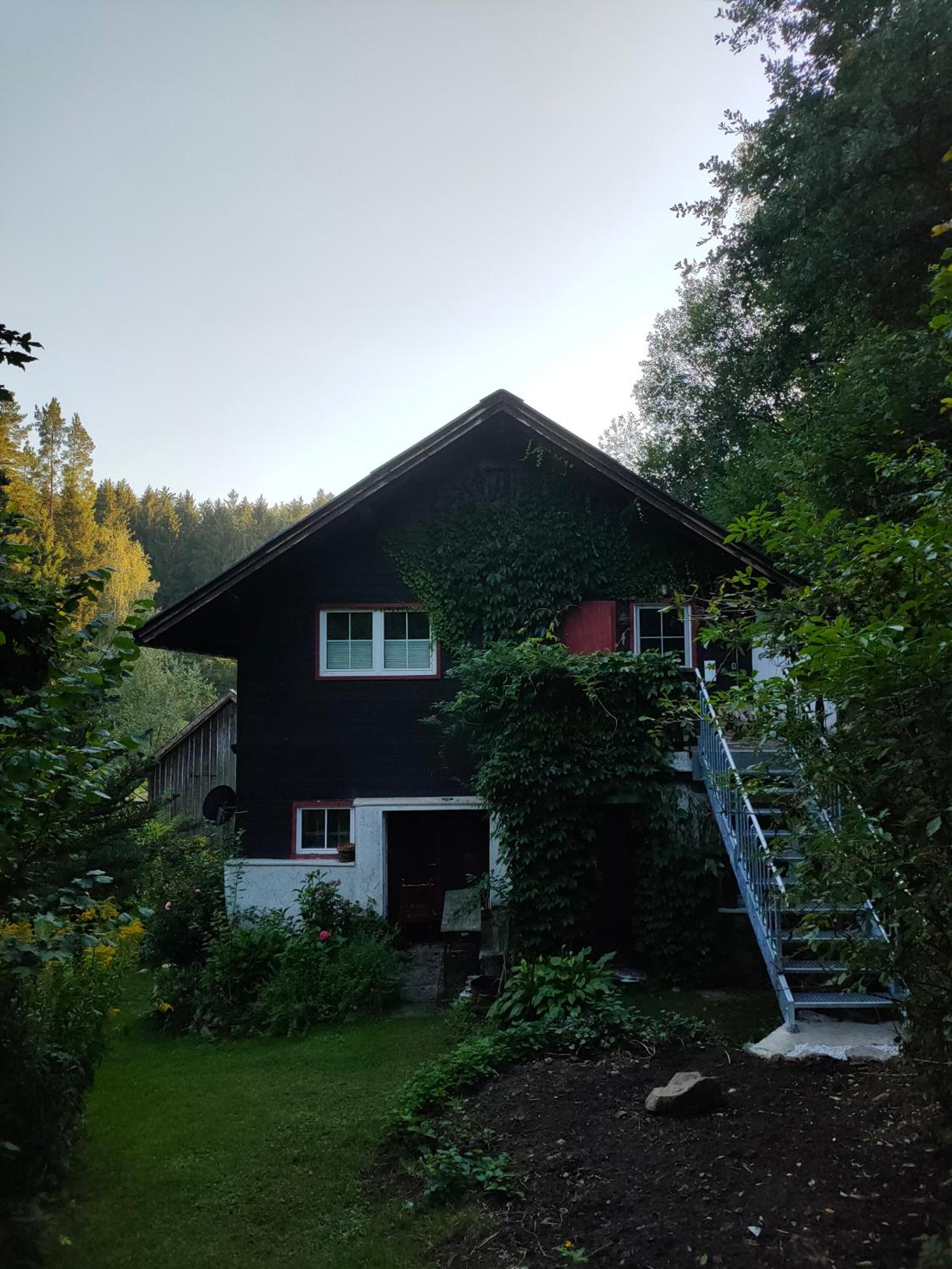 Photo 31