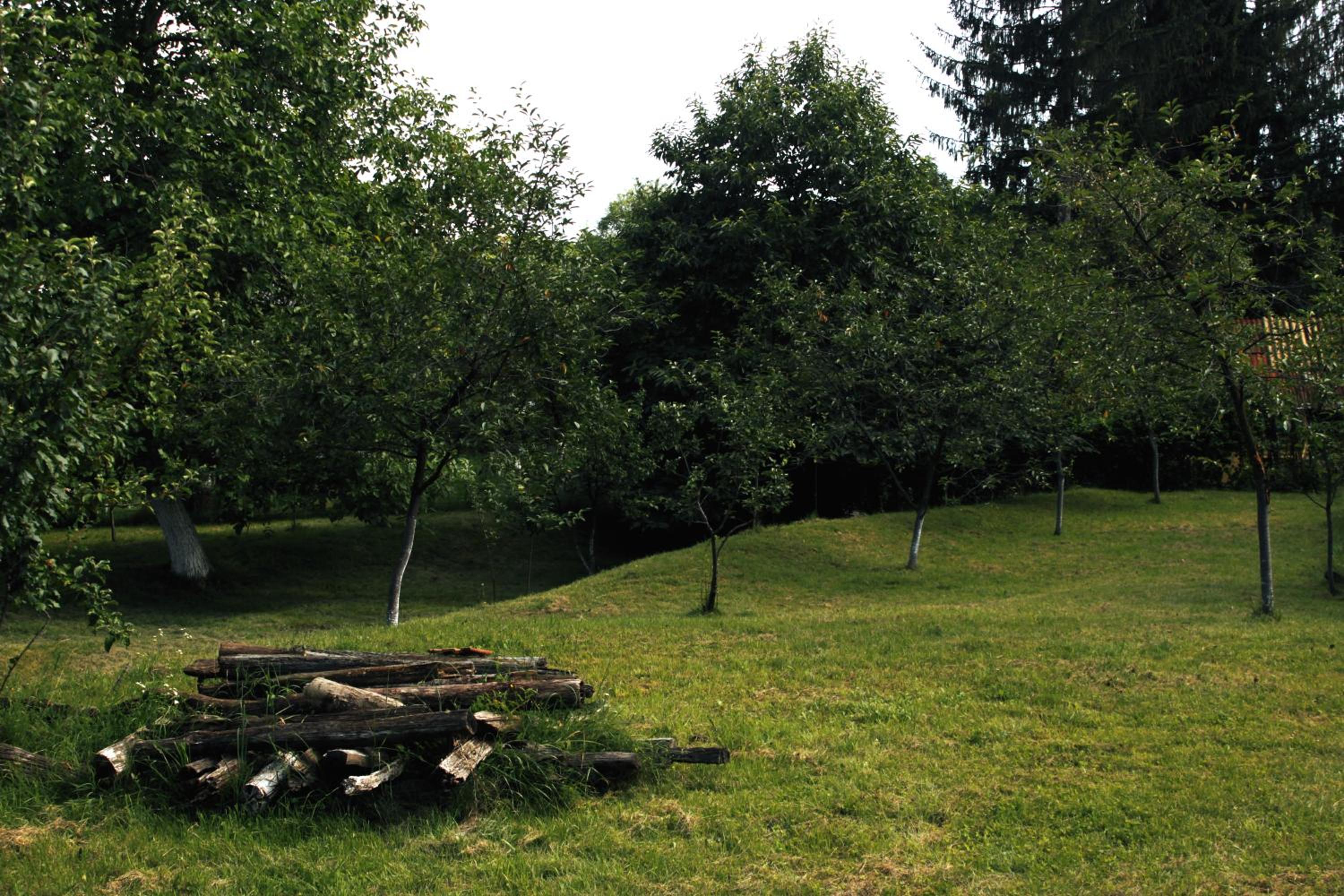 Casa rurală cu livadă LavAndra