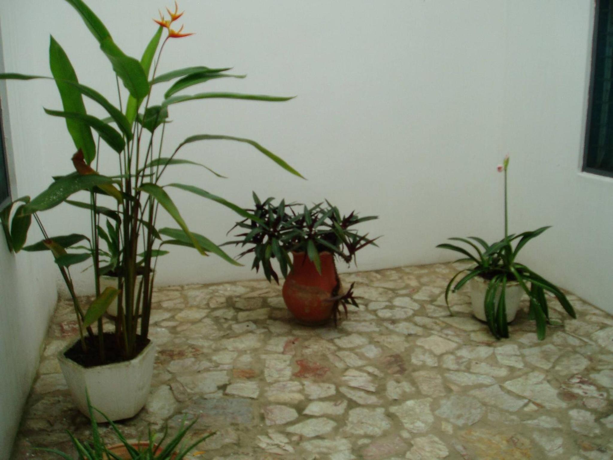 Photo 26