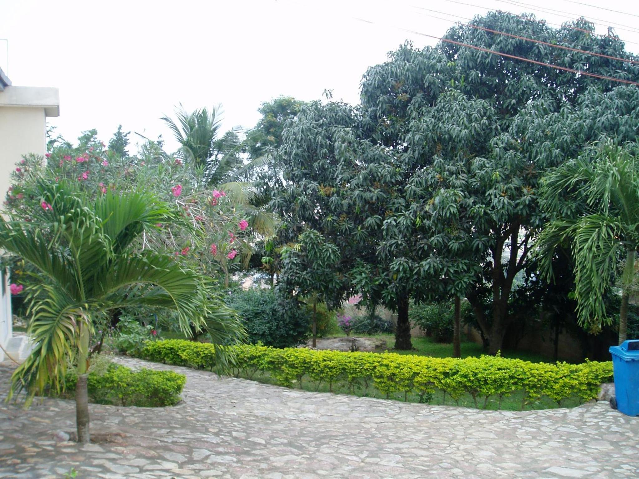 Photo 43