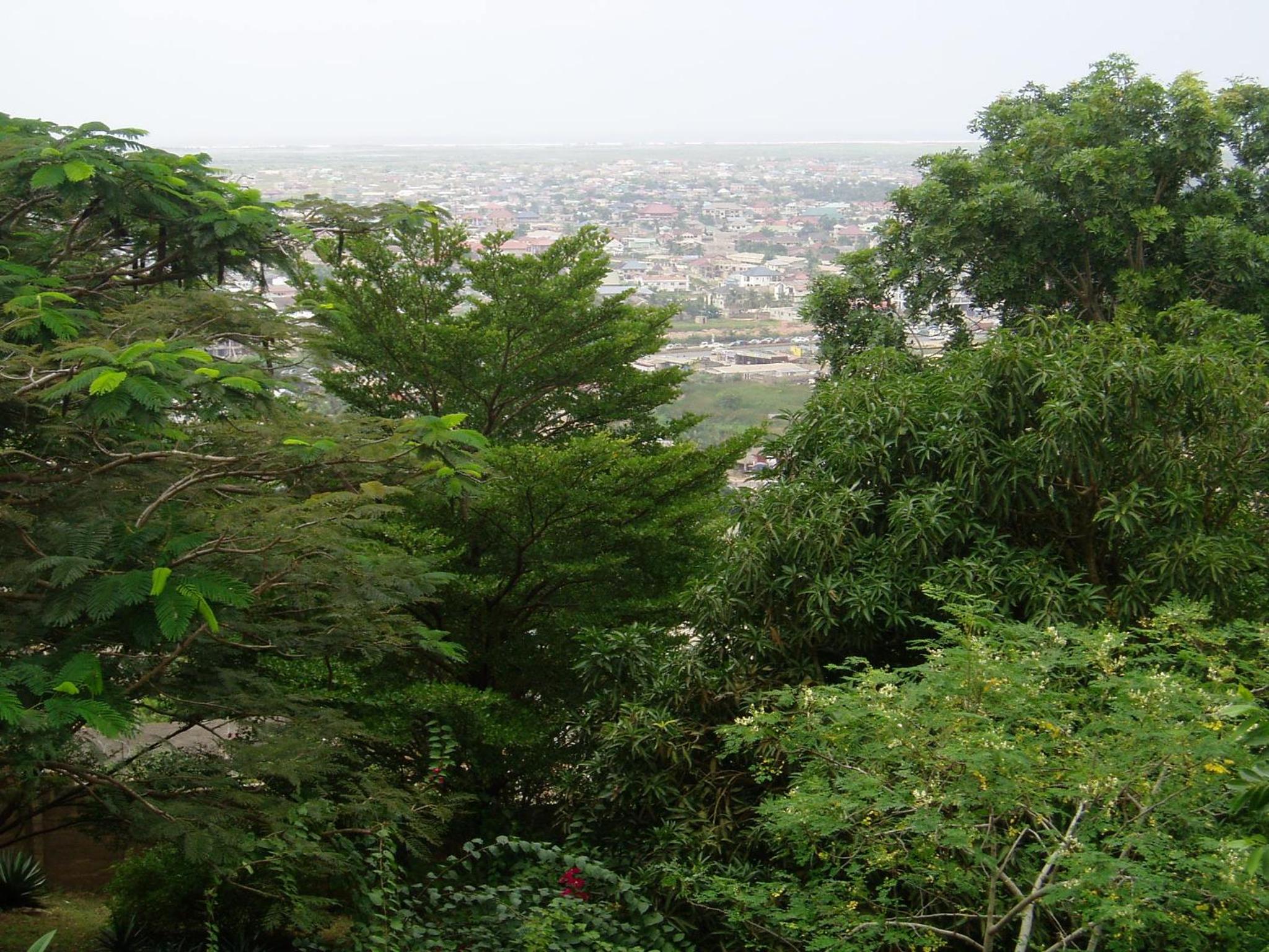 Photo 40
