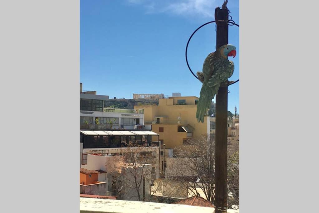 Mid century 3 bdr city centre townhouse