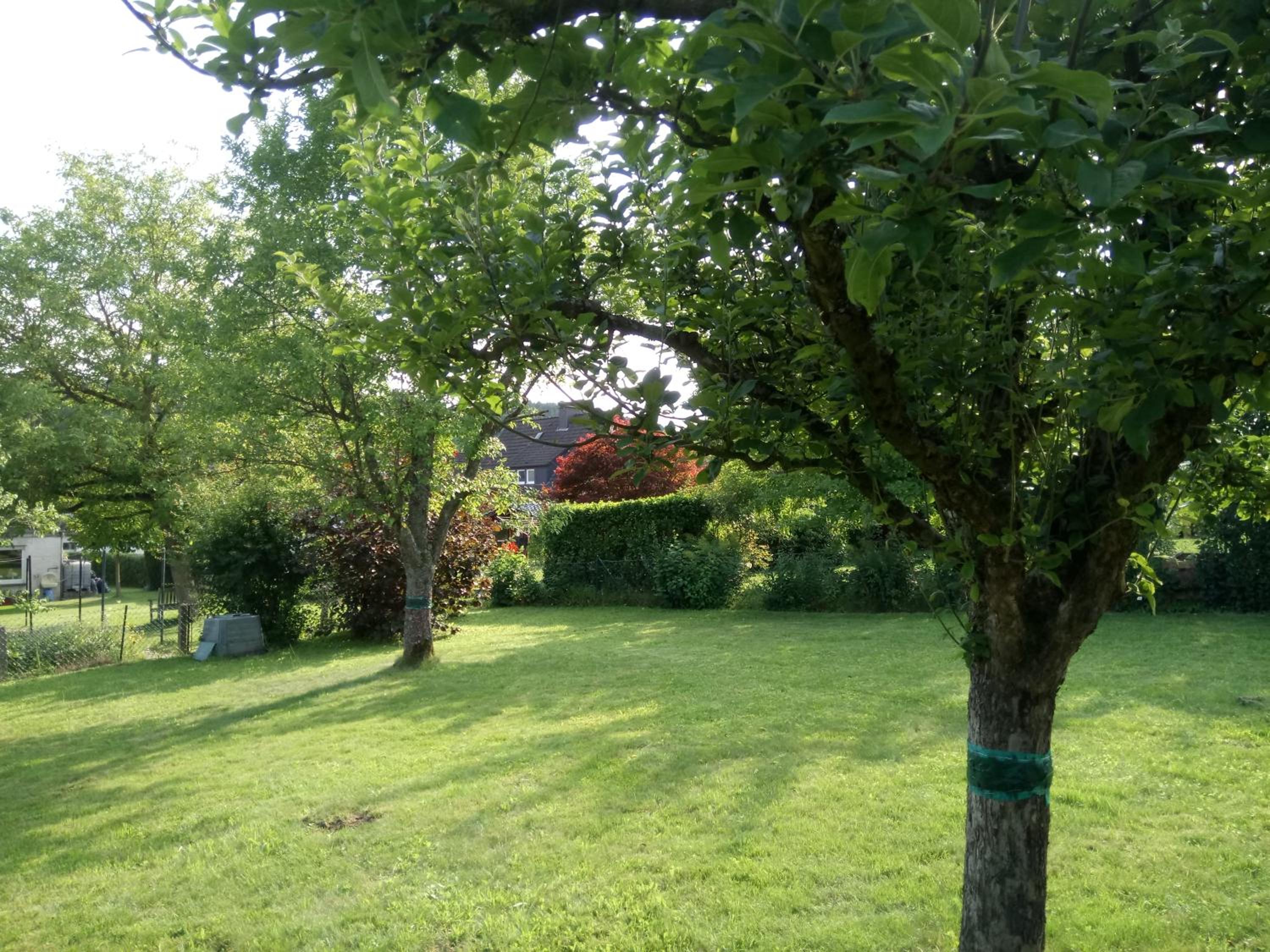 WenneGlück