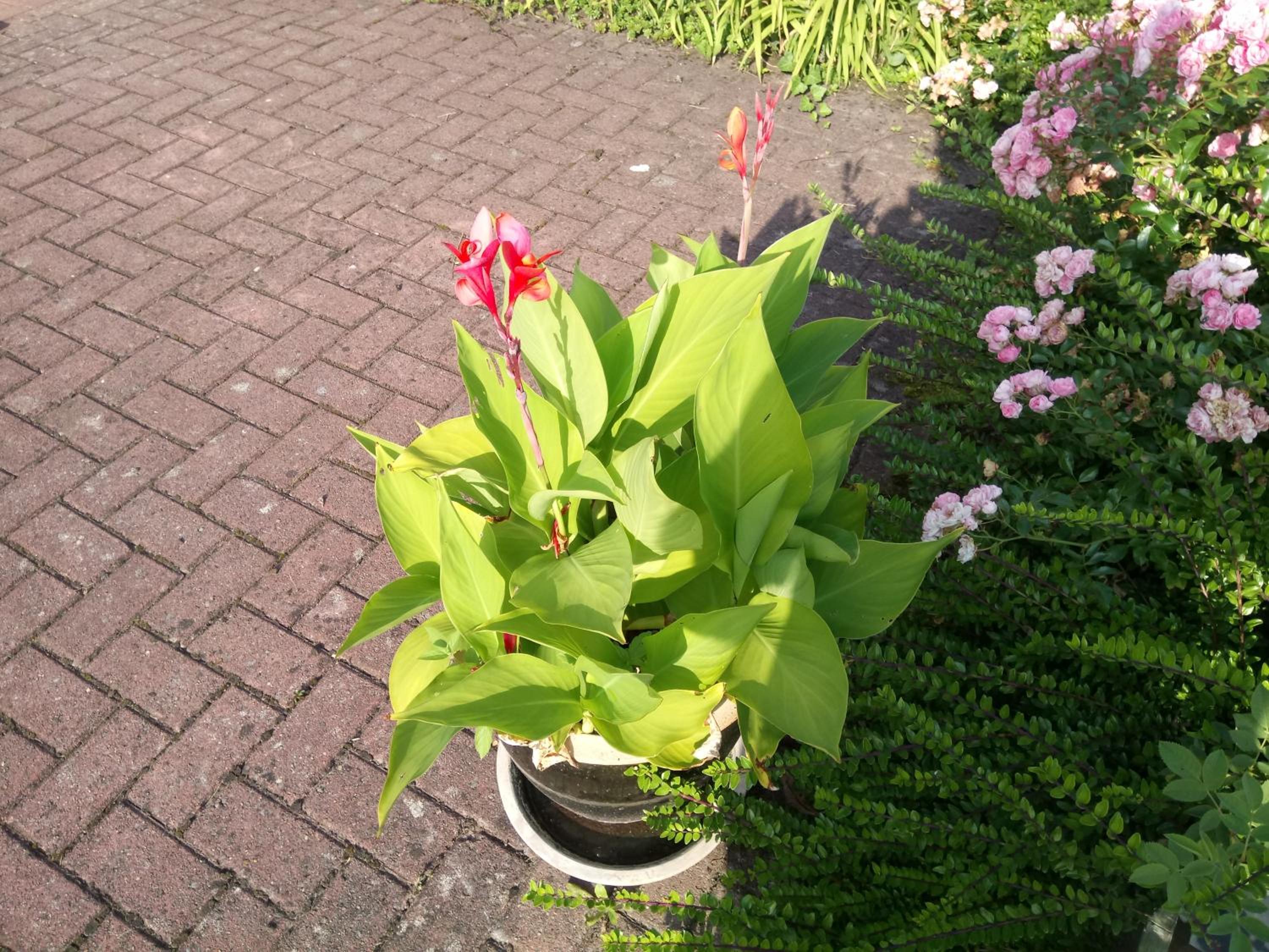 WenneGlück