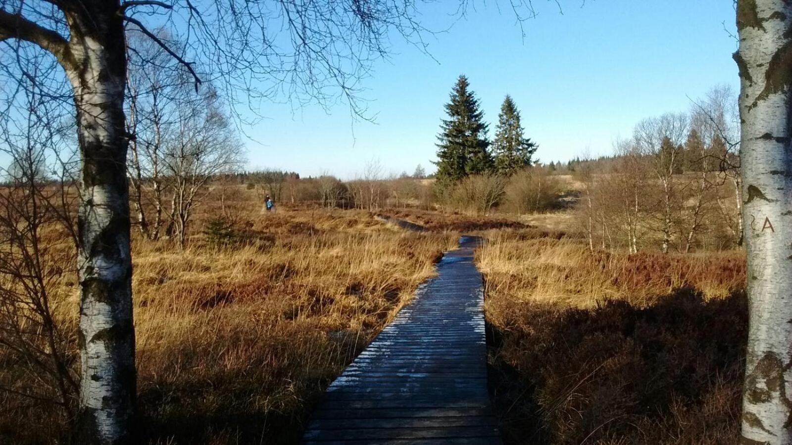 Hallerblick