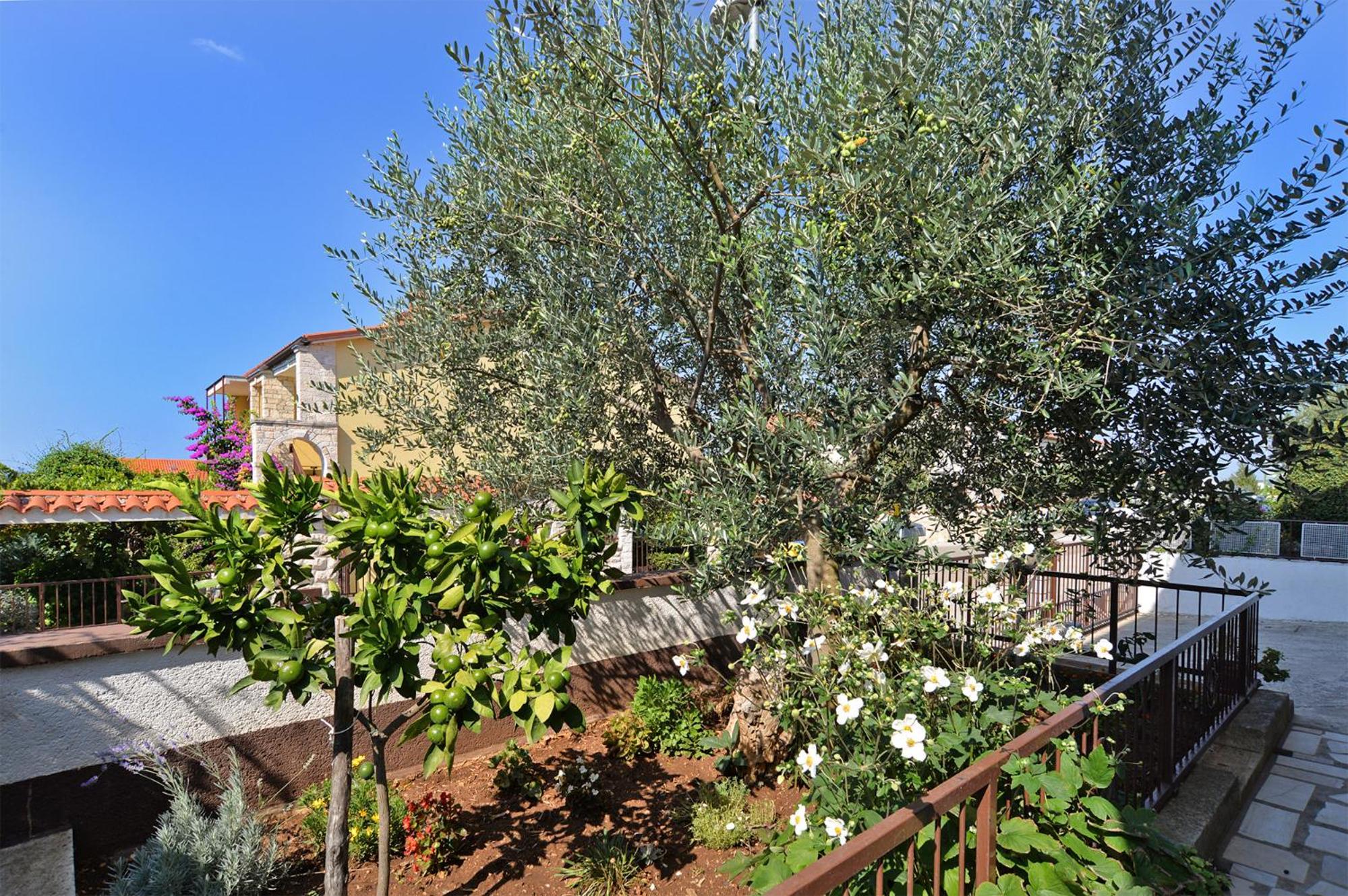 Photo 25