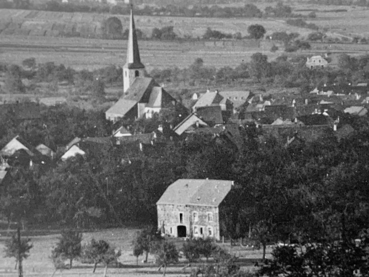Ferienwohnung Cäcilia im idyllischen Haus Kommeles - Leiwen an der Mosel view 3