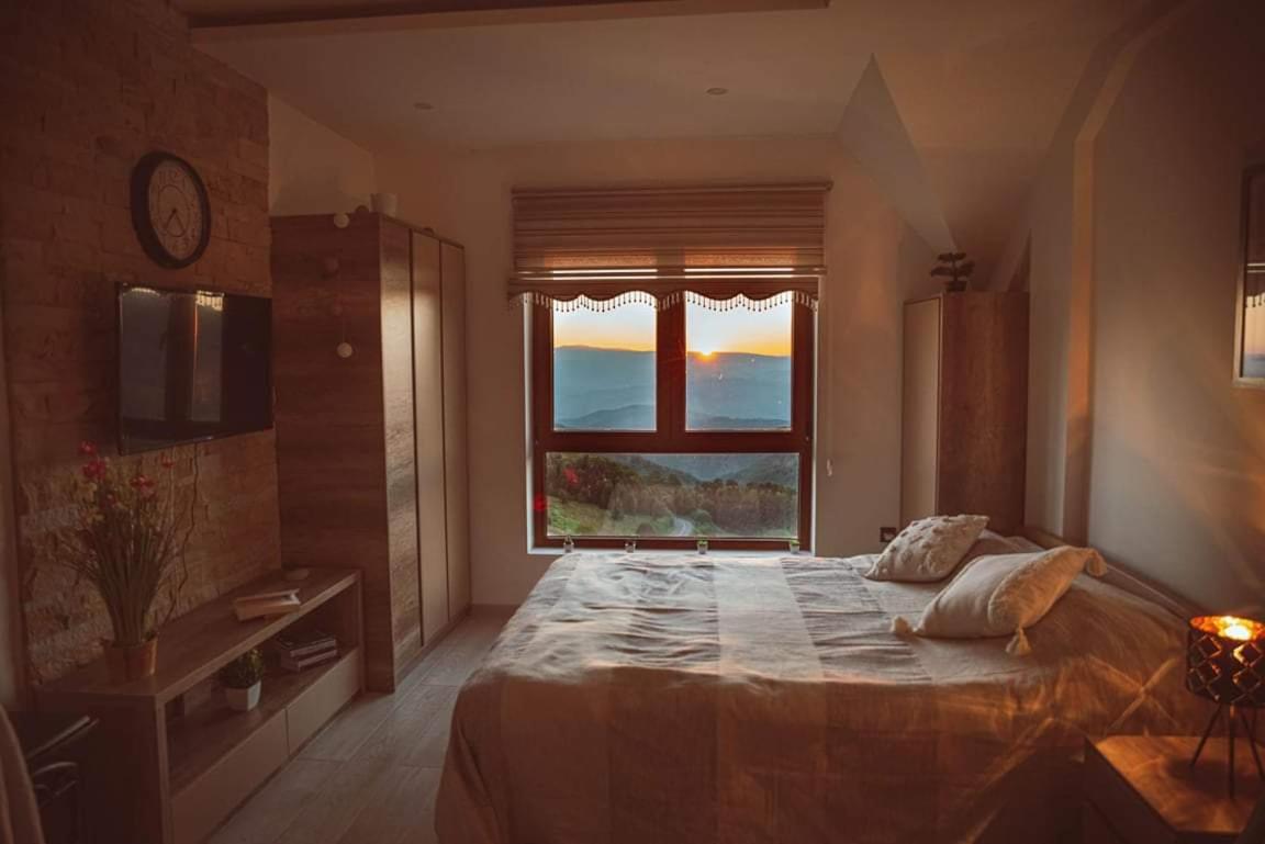 Cicmilovic P63, Milmari Resort, Kopaonik view 4