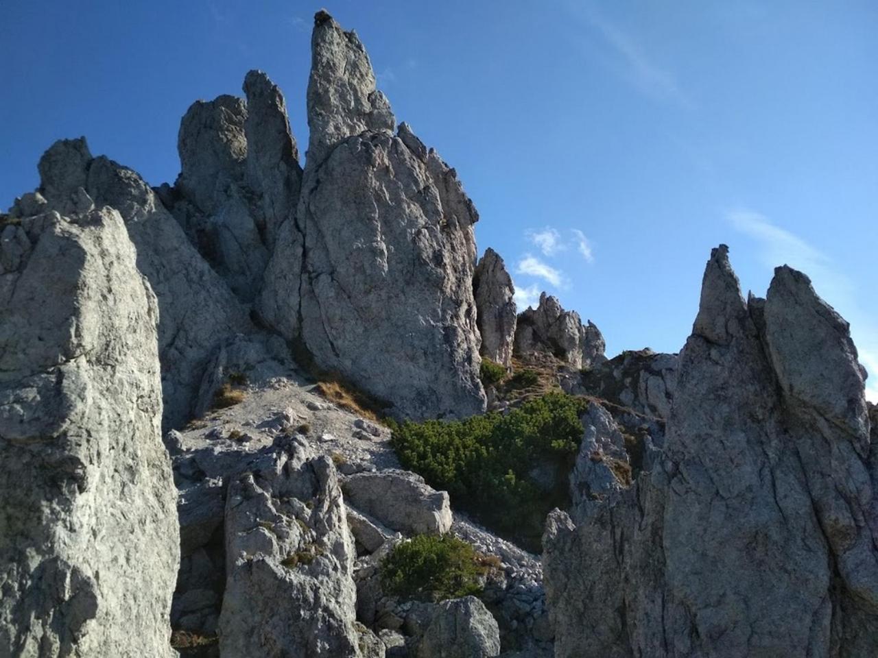Photo 39