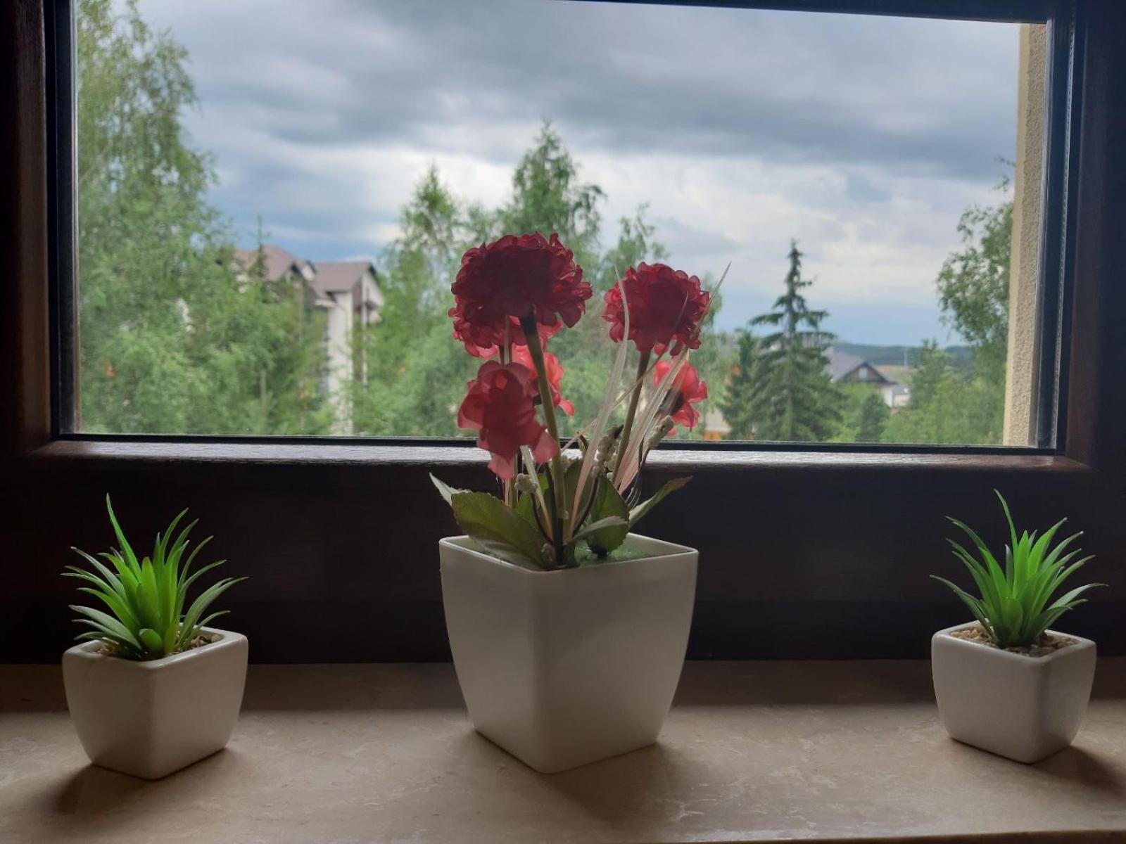 Zlatibor Relax - SPA