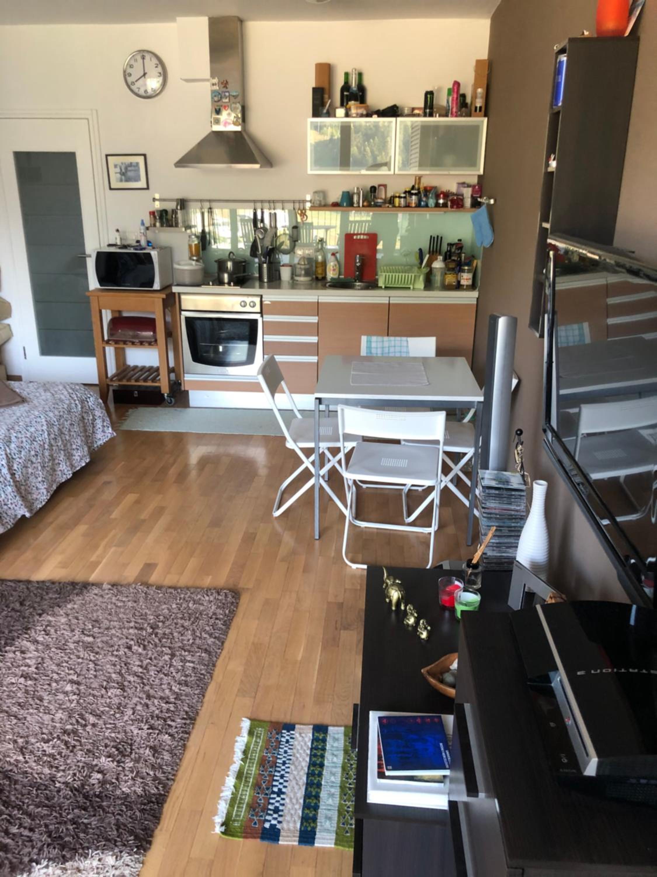 Studio & apartments Ice