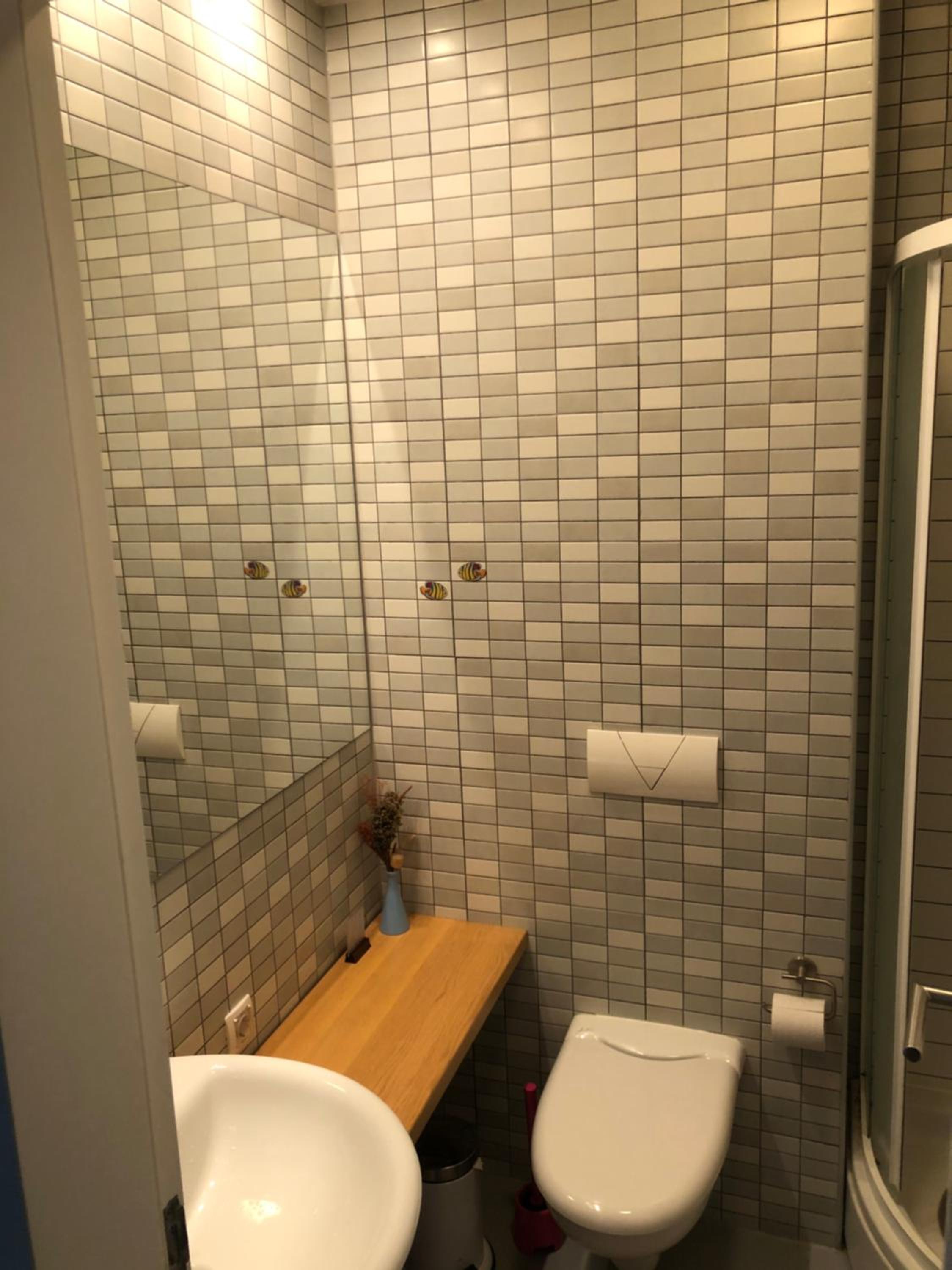 Studio & apartments Ice