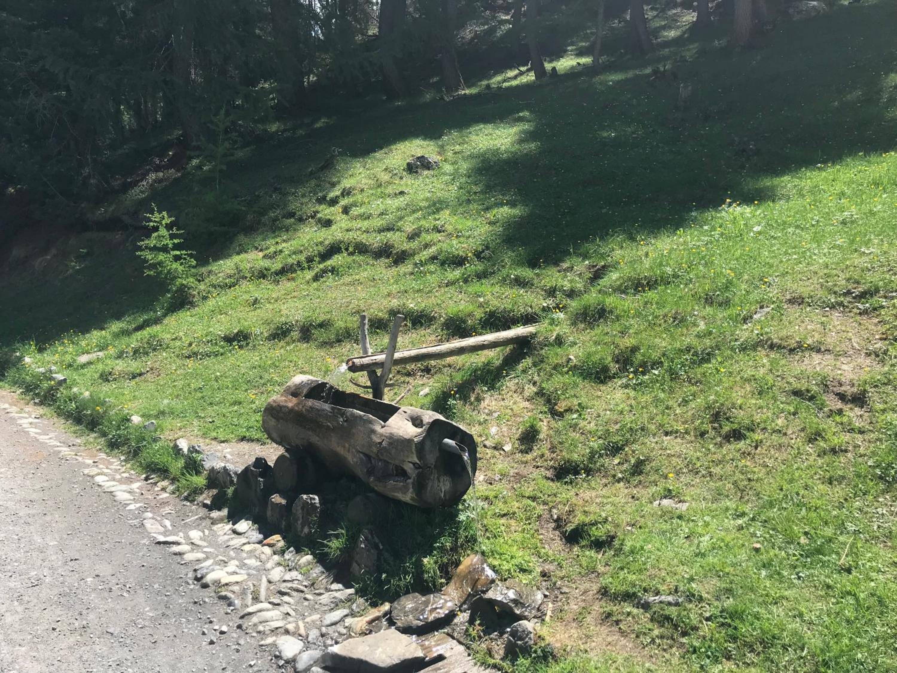 Photo 24