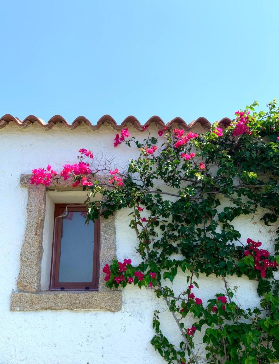 Susy house view 4
