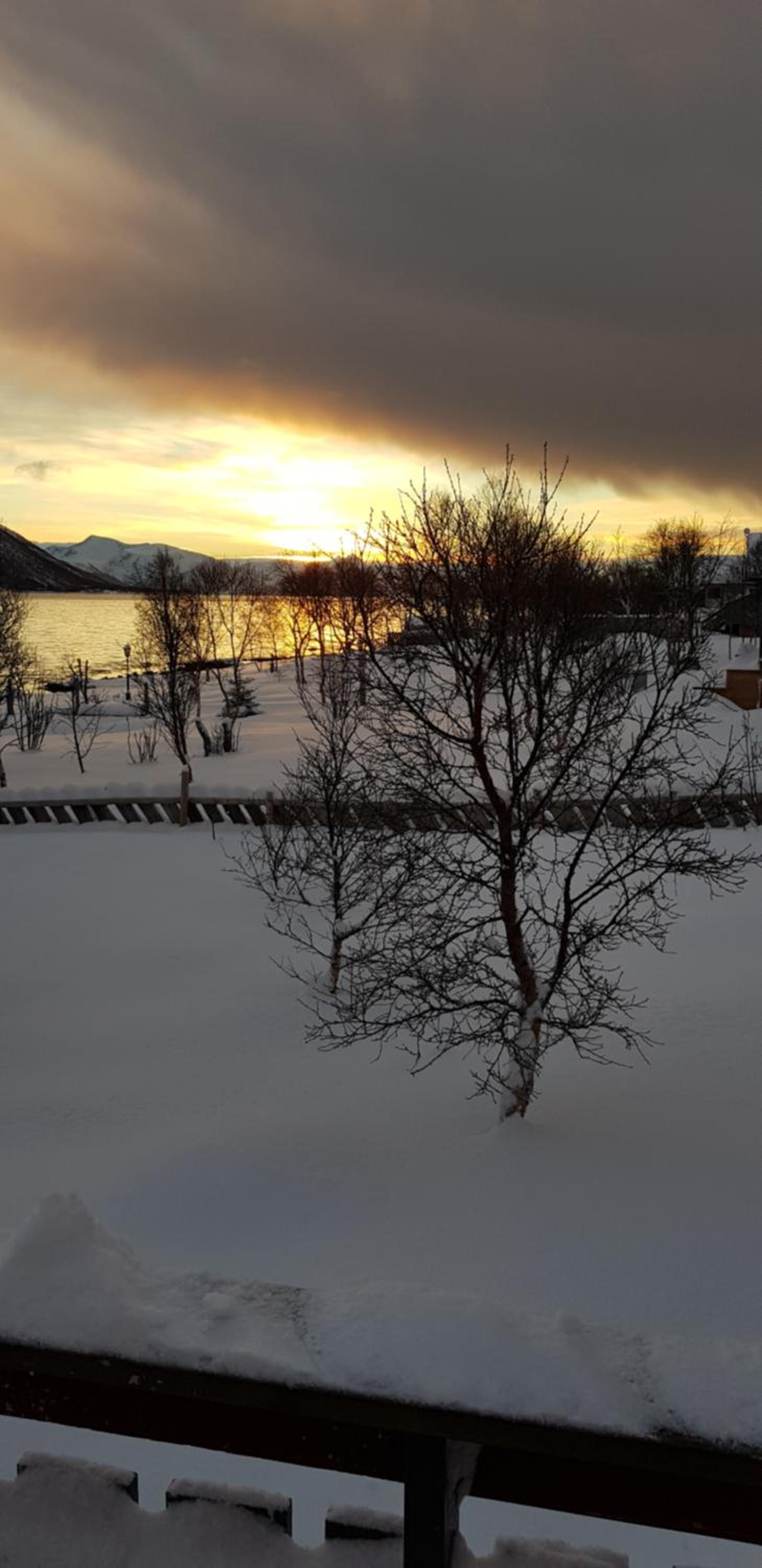 Lykkebo, Skjoldehamnveien 1151, Nygård, Andøy view 2