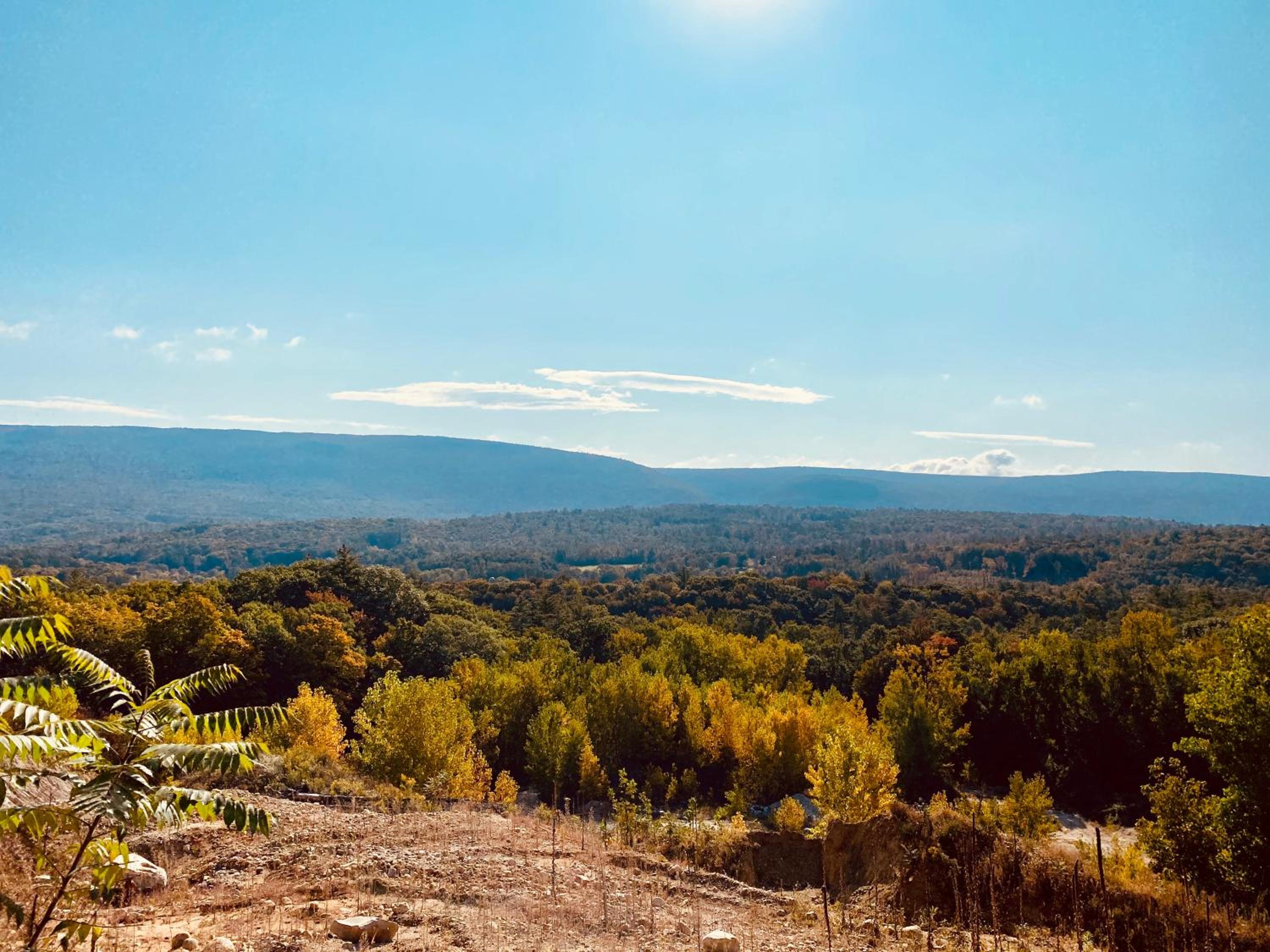 Arcady Mountain Motor Lodge view 4