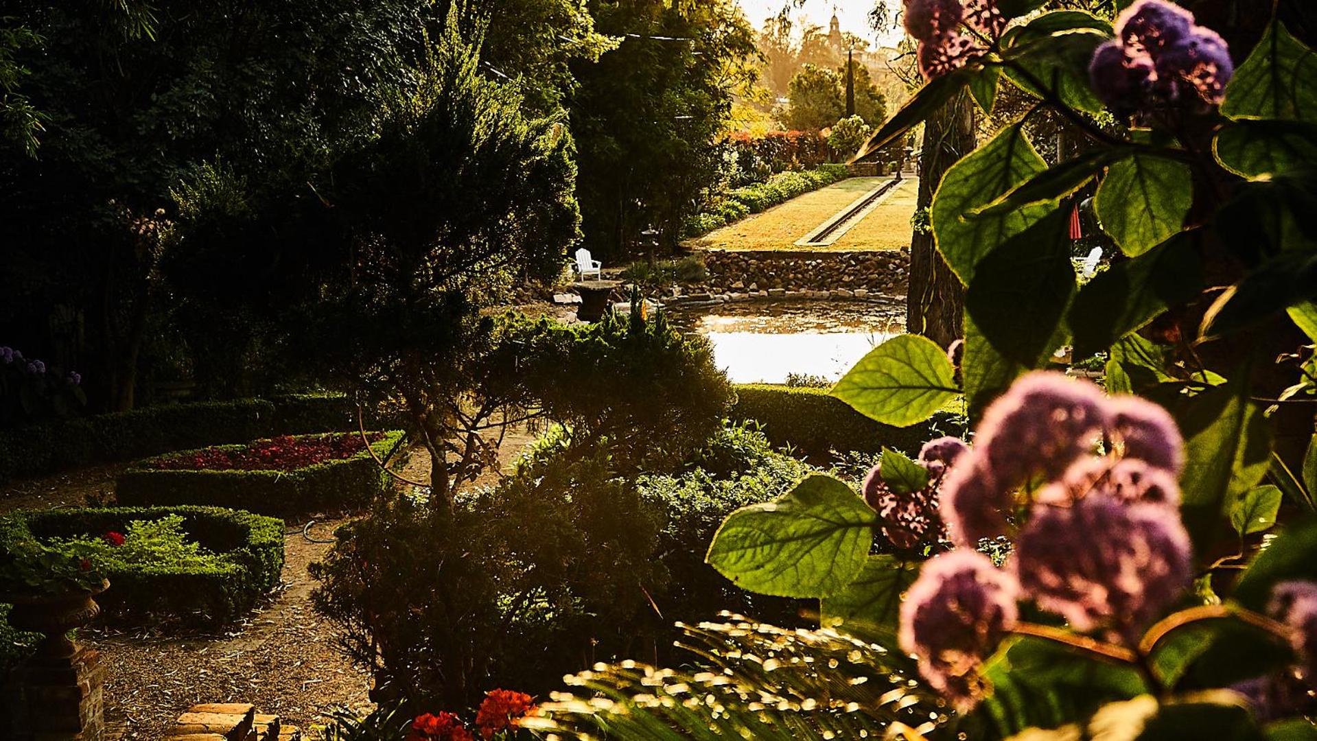 The Regents Park