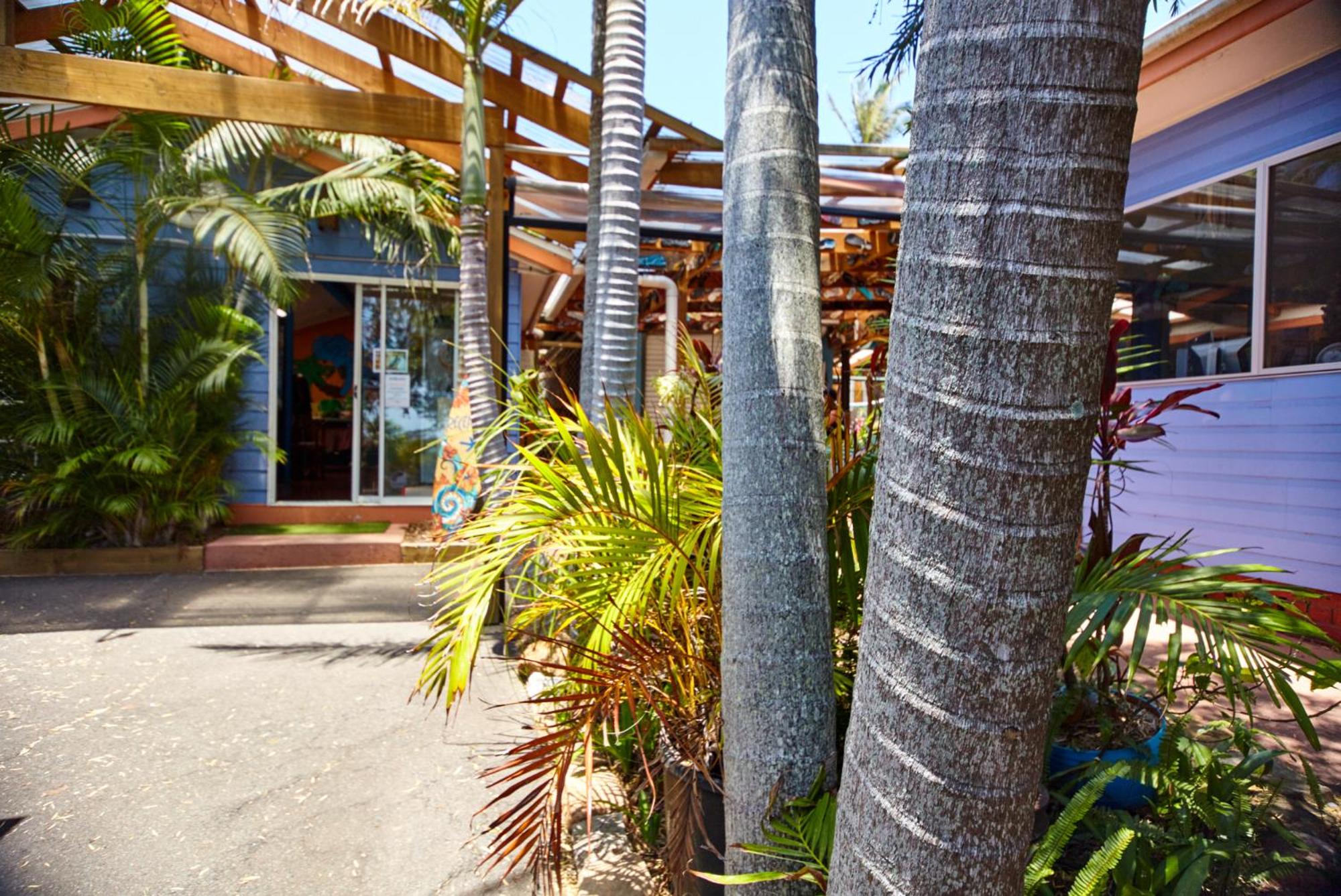 Hotel Ozzie Pozzie Backpackers - Port Macquarie YHA - Image 1