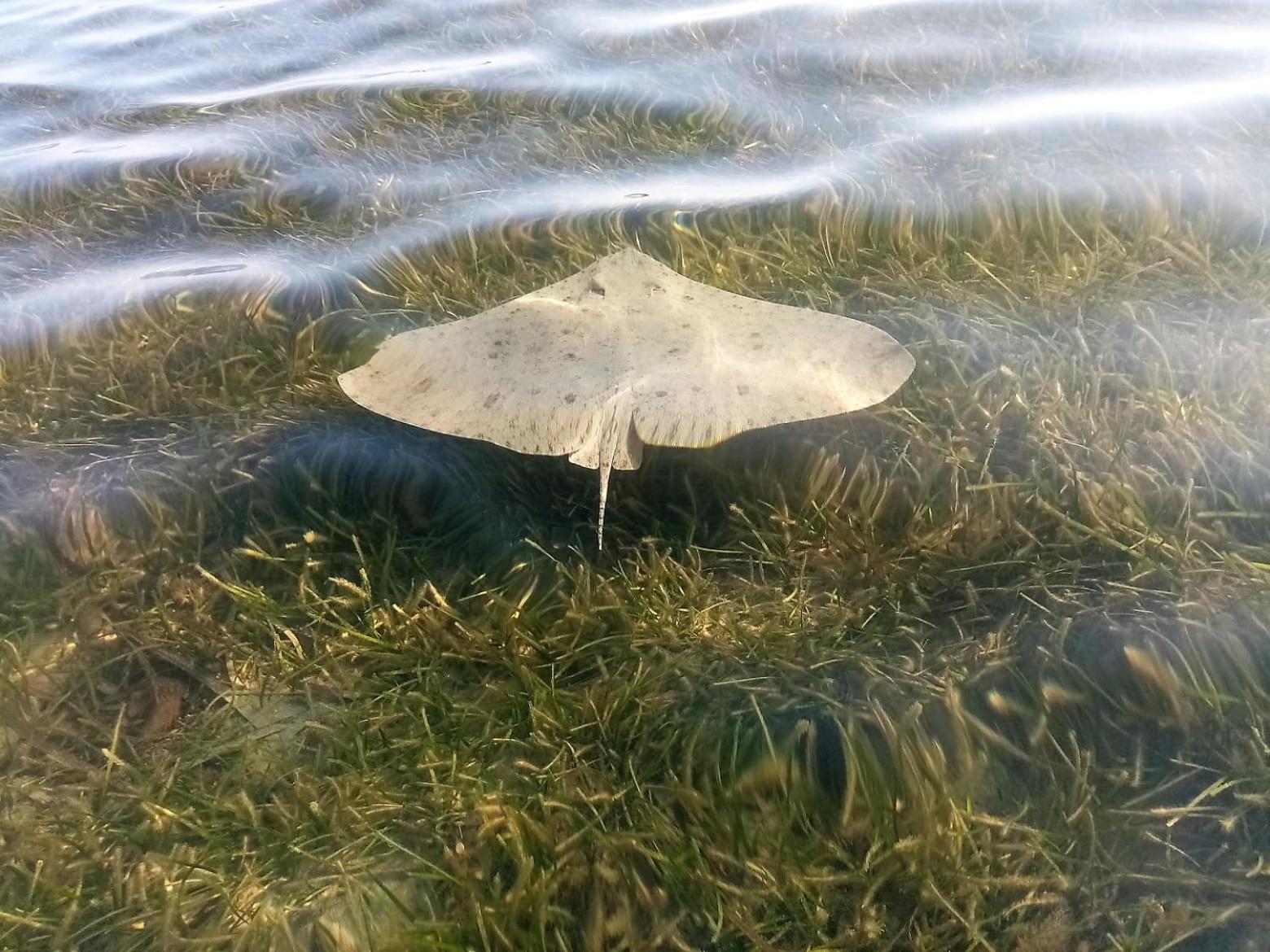 Photo 19