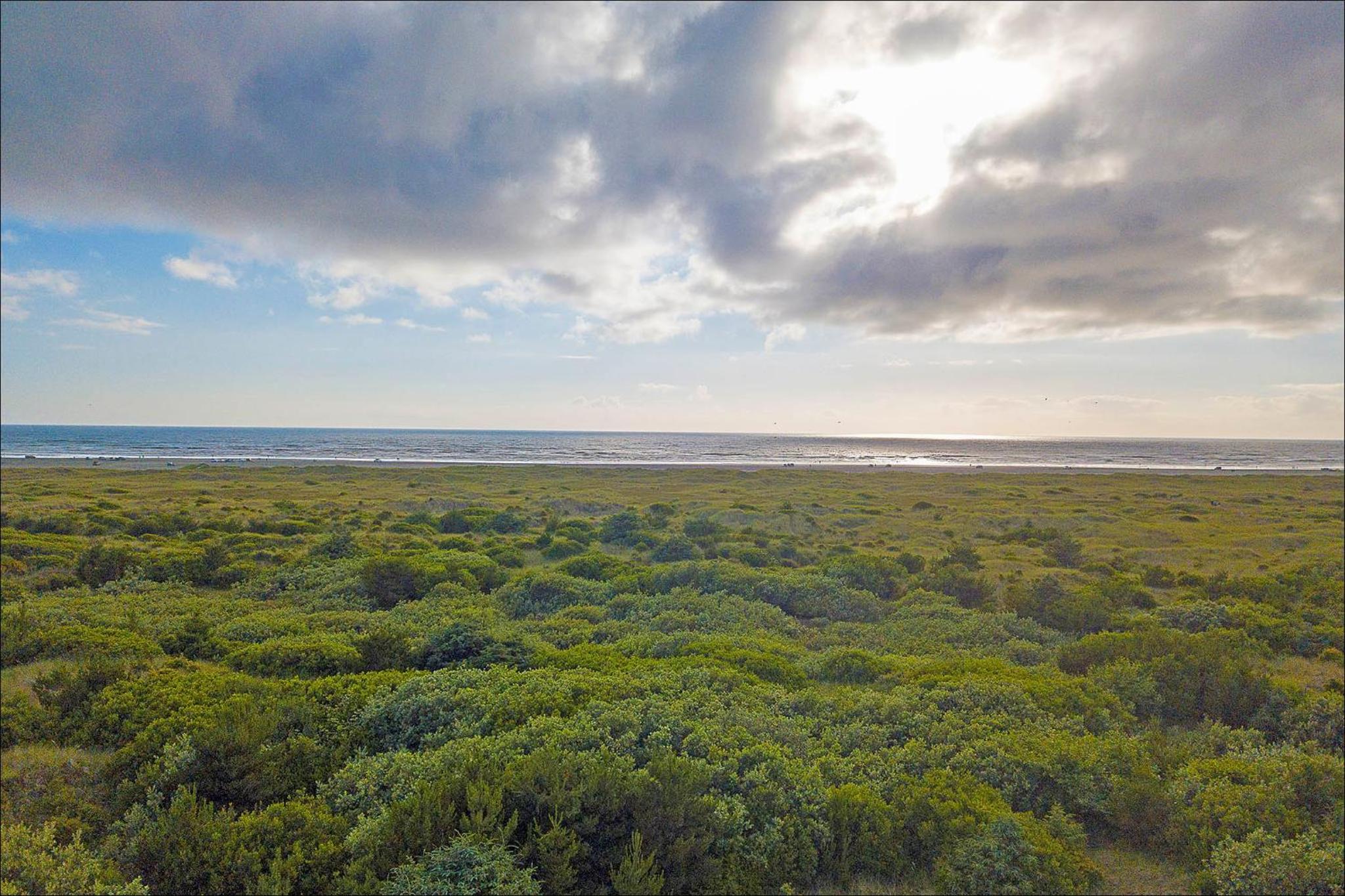 Pacific Surf Condos