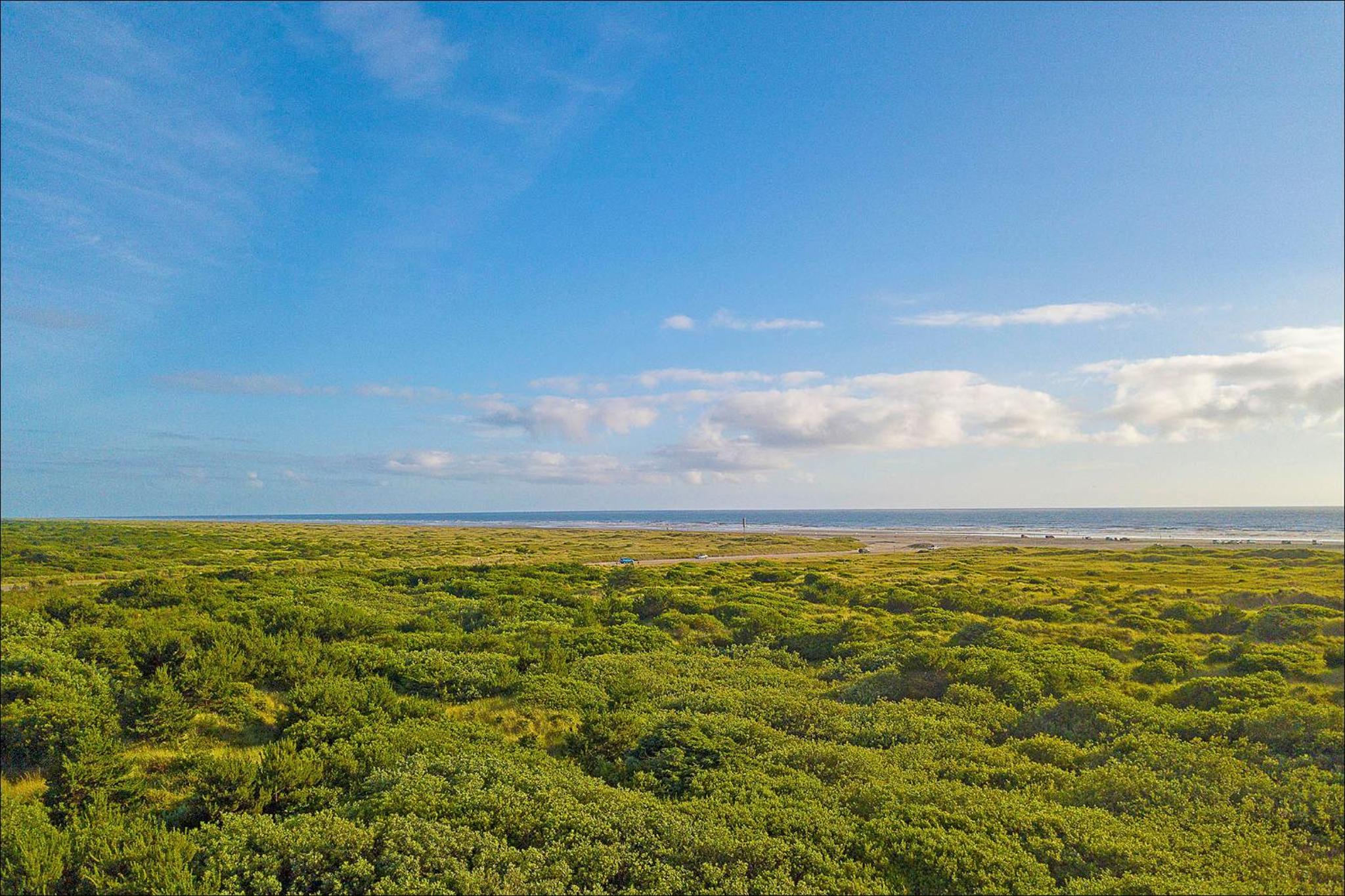 Pacific Surf Condos