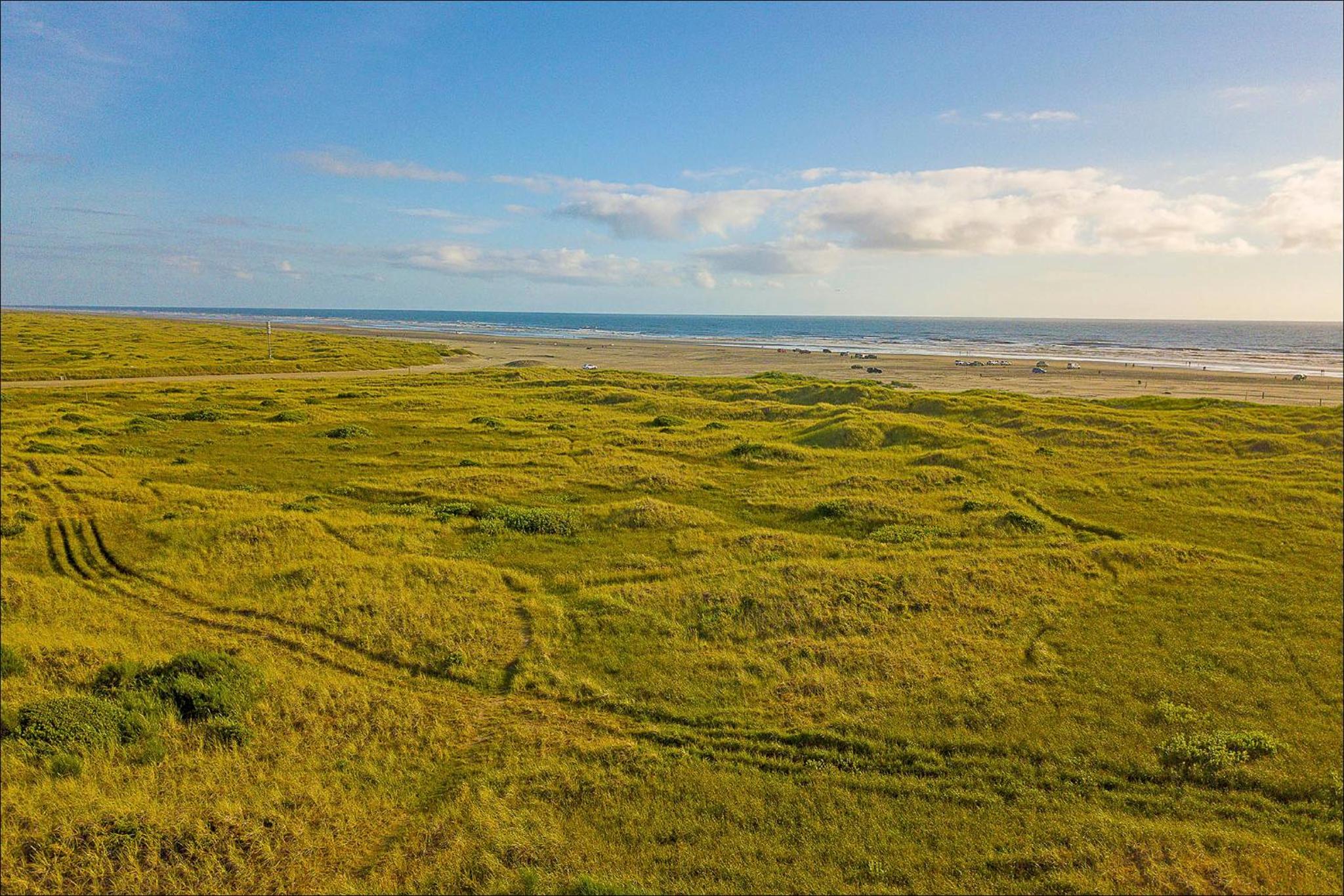 Pacific Surf Condos