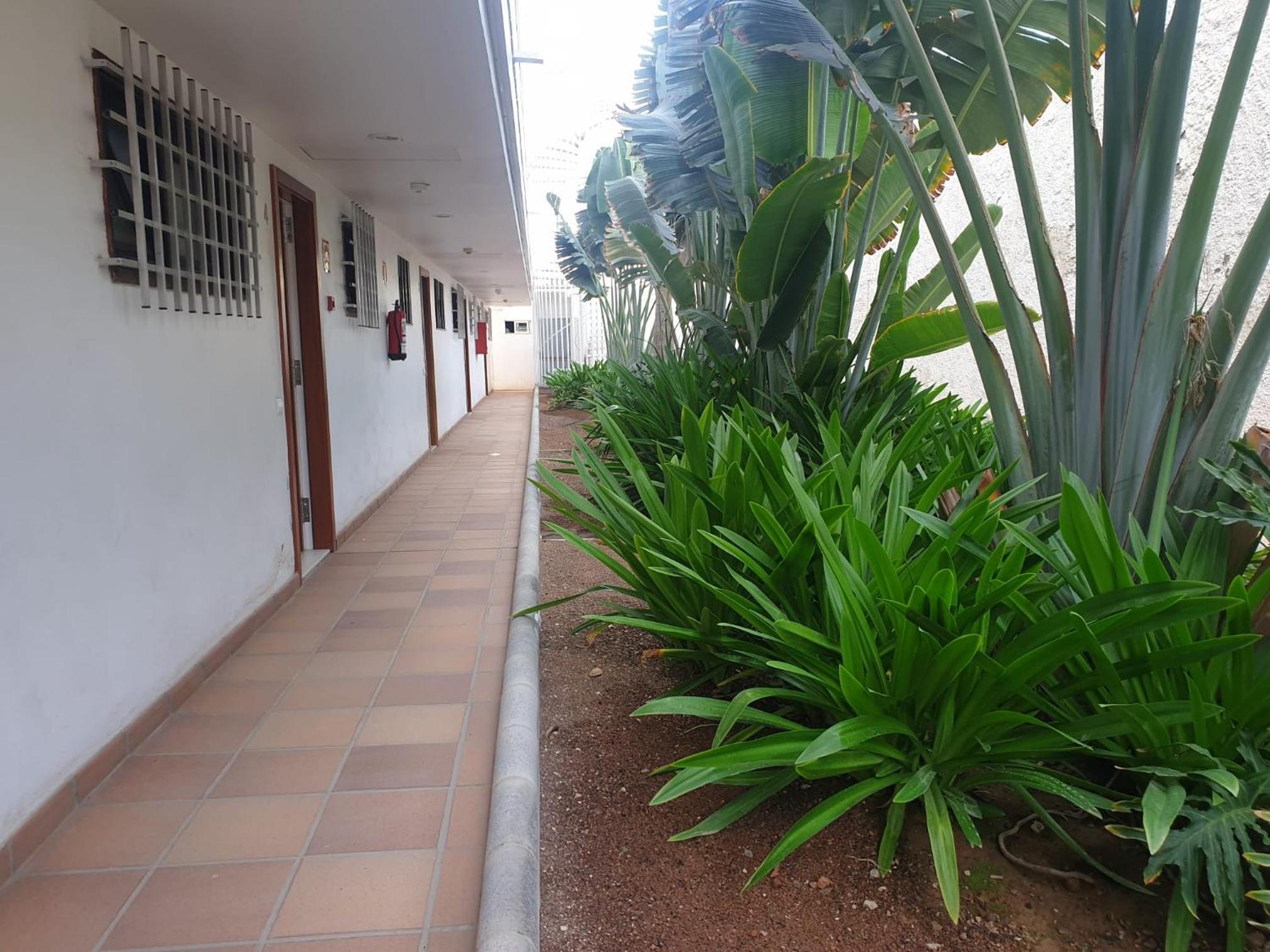 El apartamento de Concha