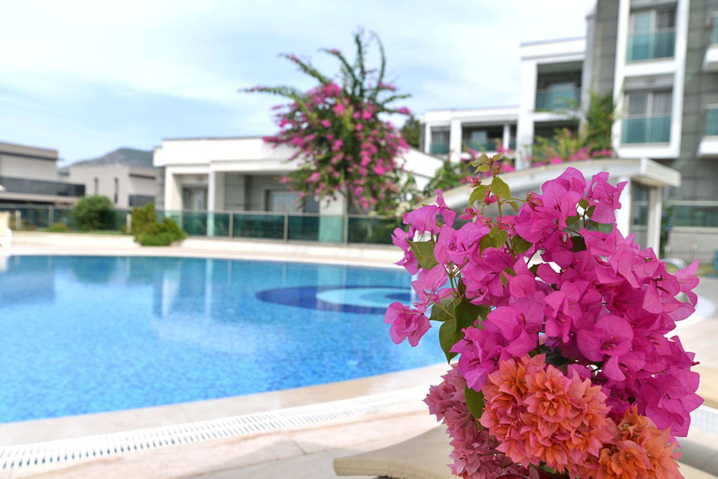 Royal Palm Residence