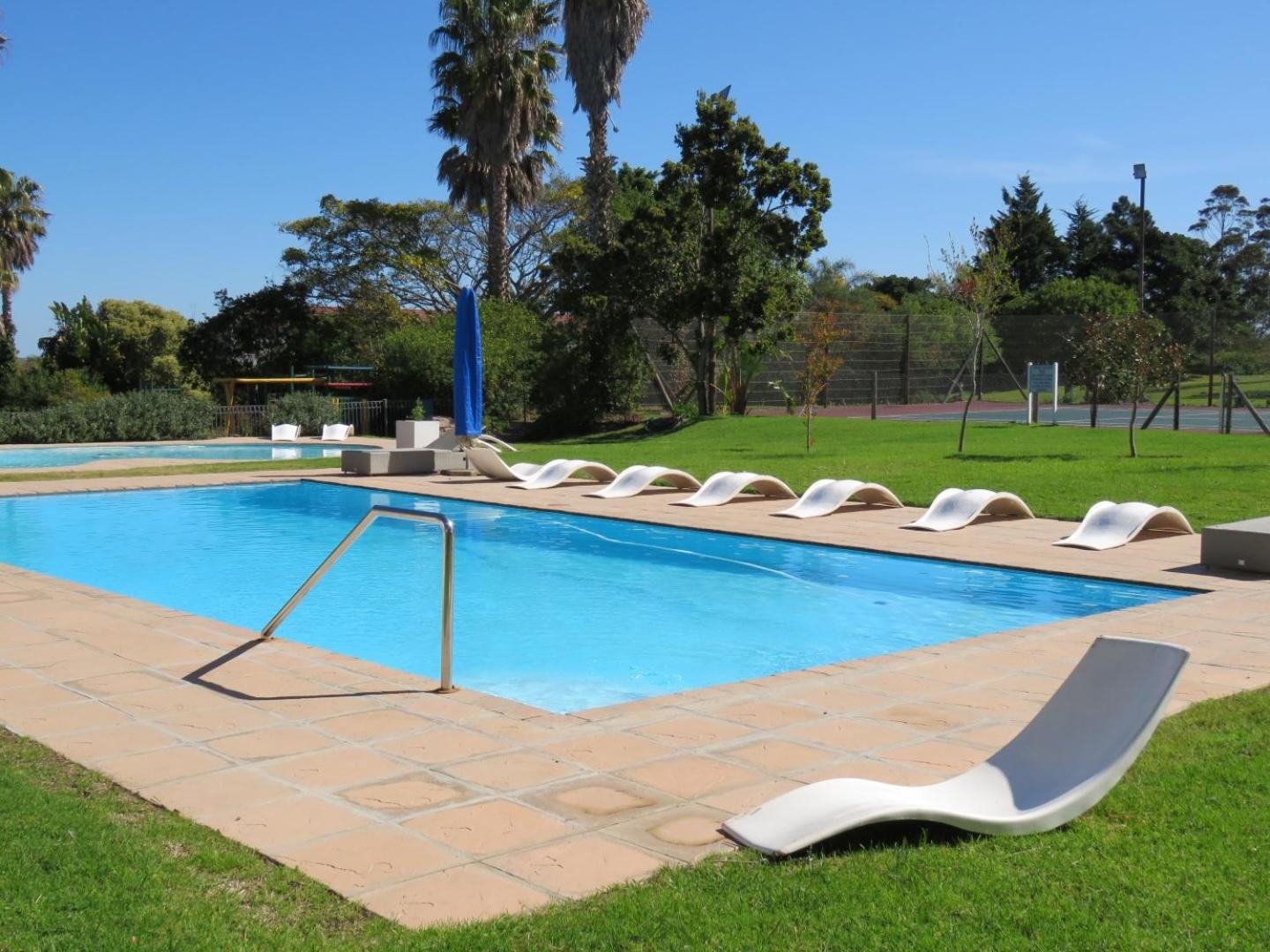 Plett D'light