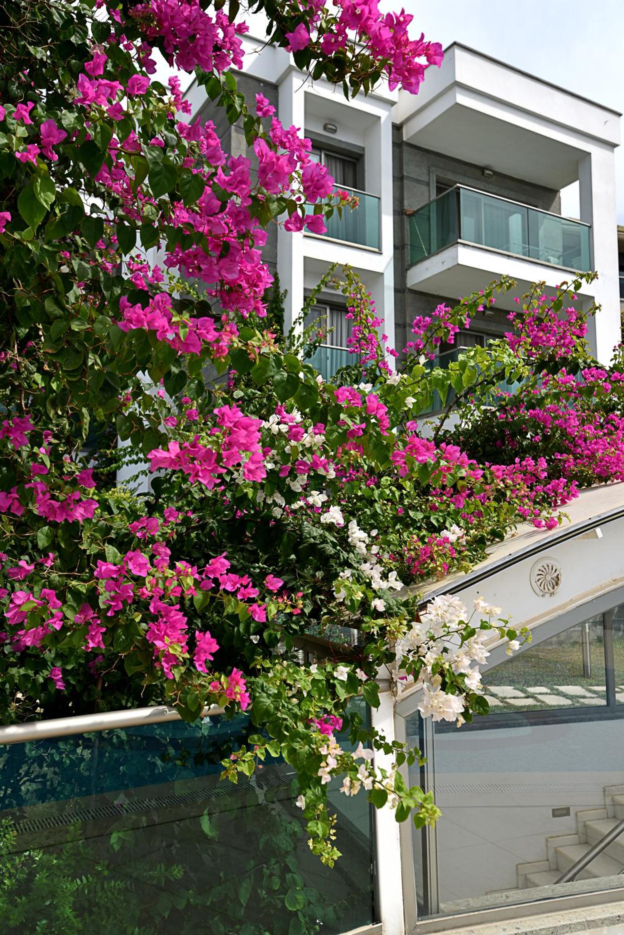 Royal Palm Residence