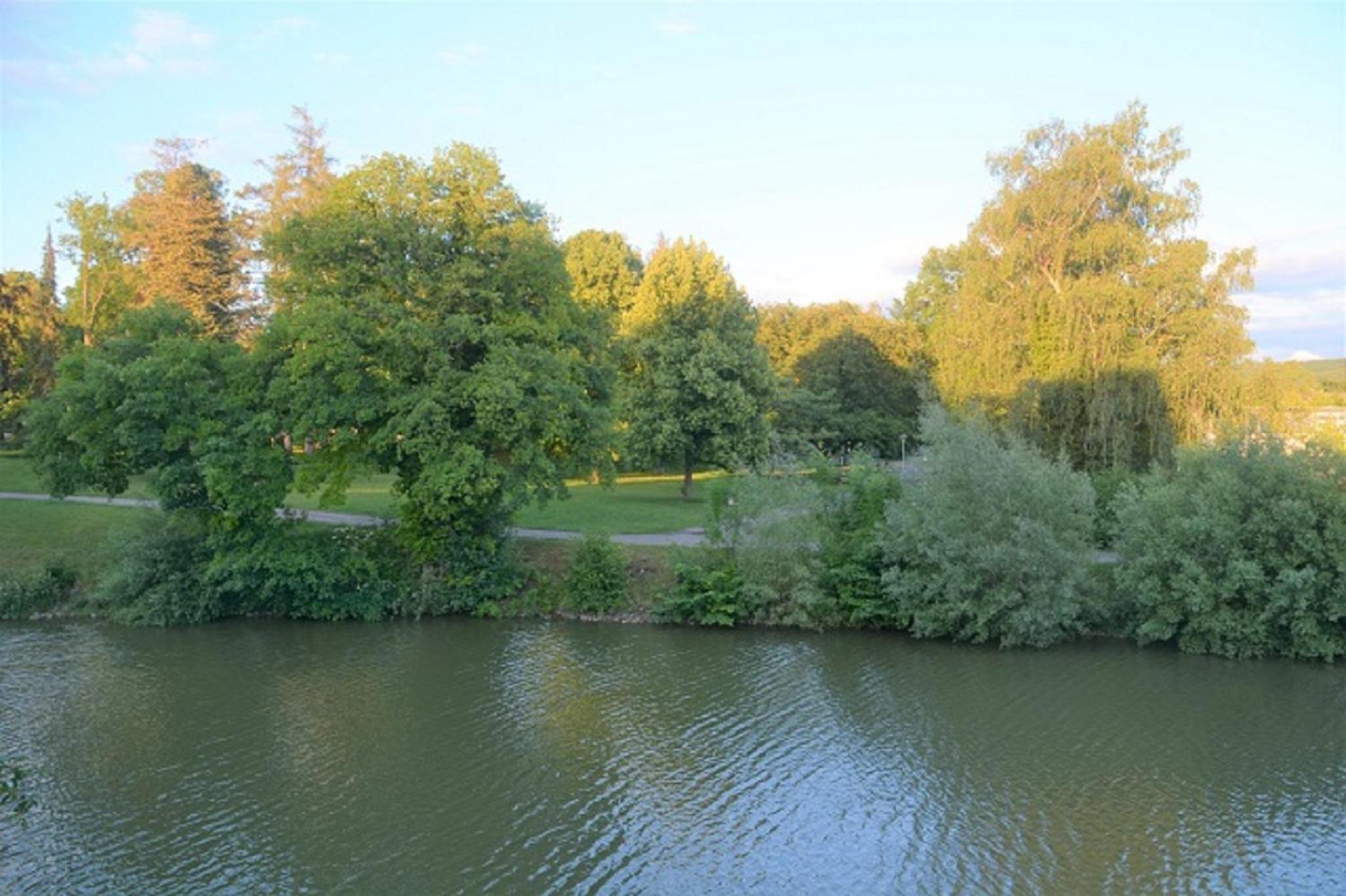 Ferienhaus der Seeweiherturm