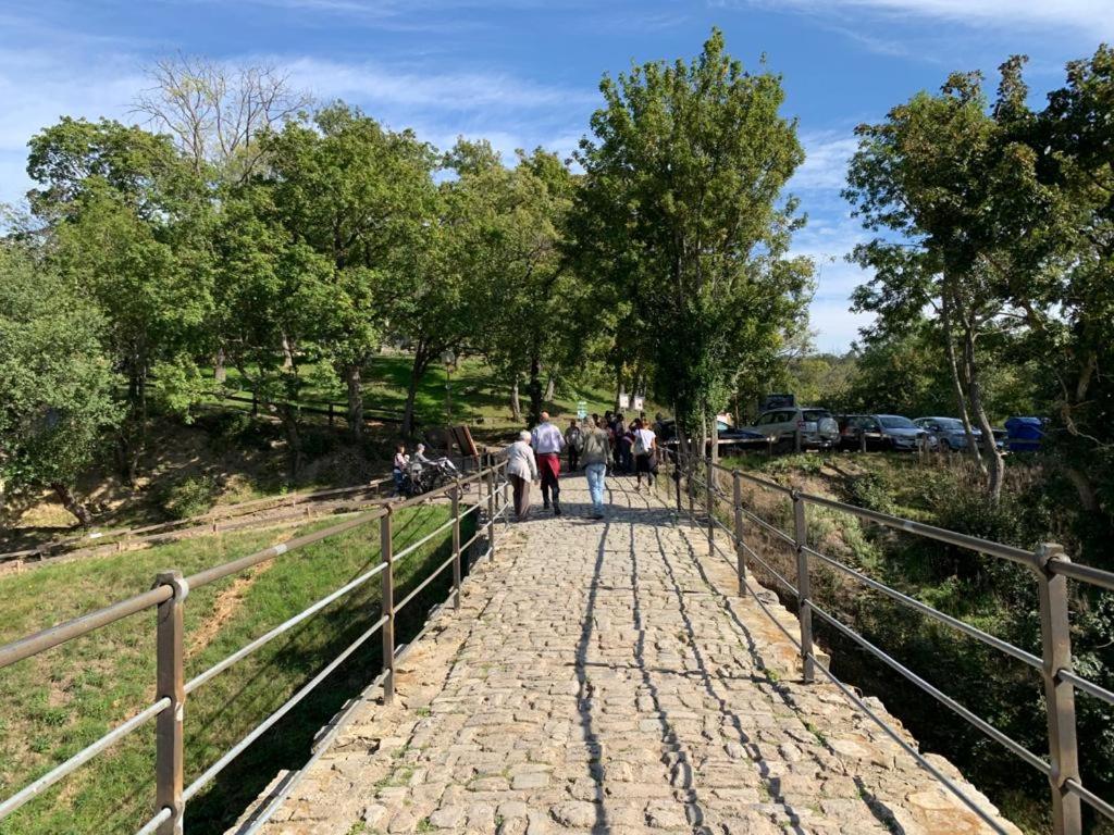 Hotel garni Zum Rebstock
