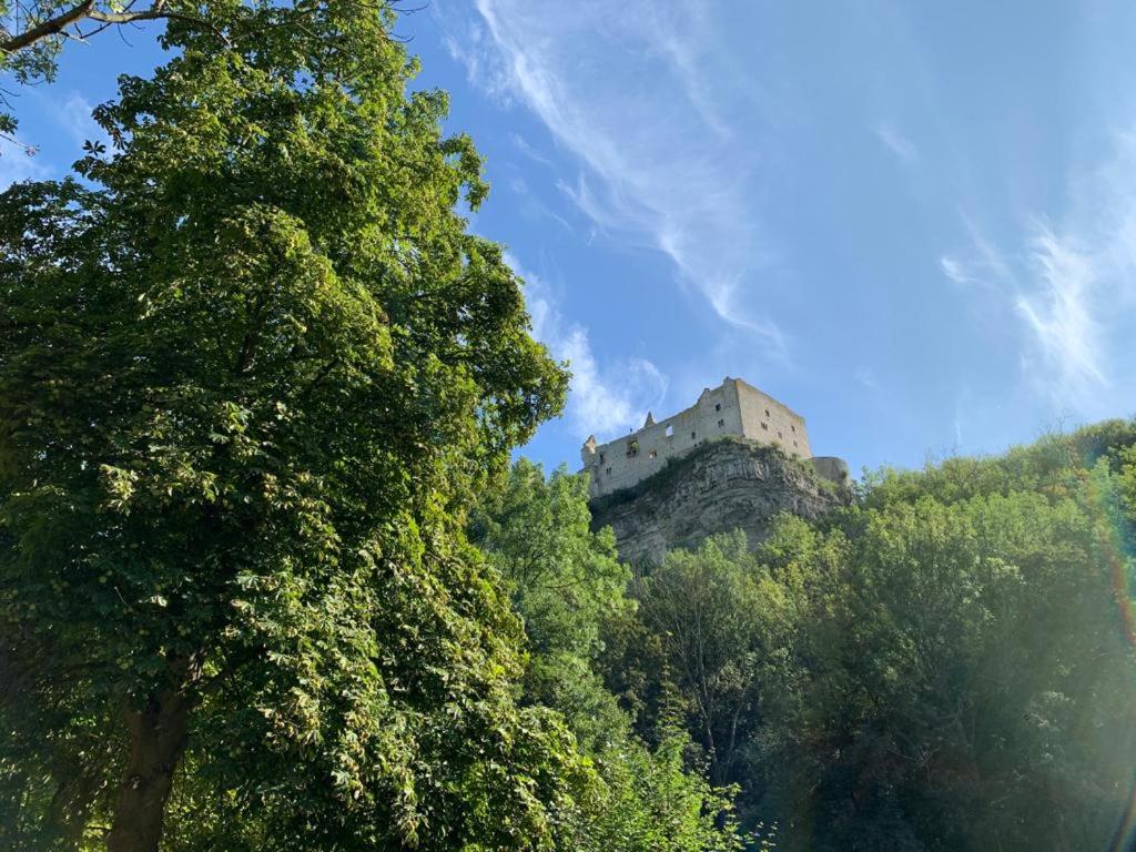 Hotel garni Zum Rebstock