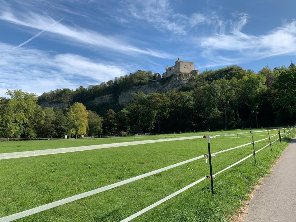 Hotel garni Zum Rebstock
