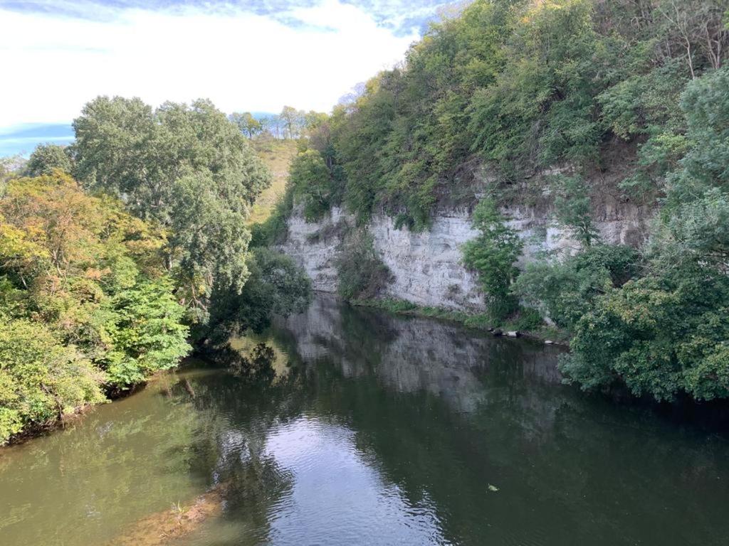 Hotel garni Zum Rebstock