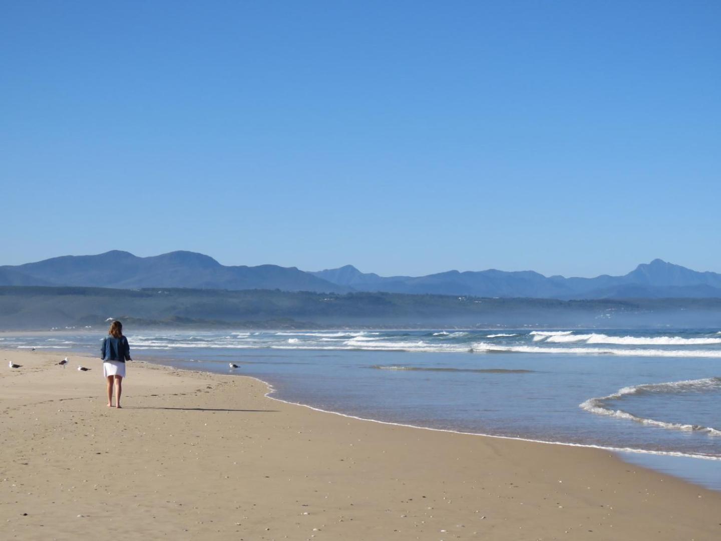 Plett D'light