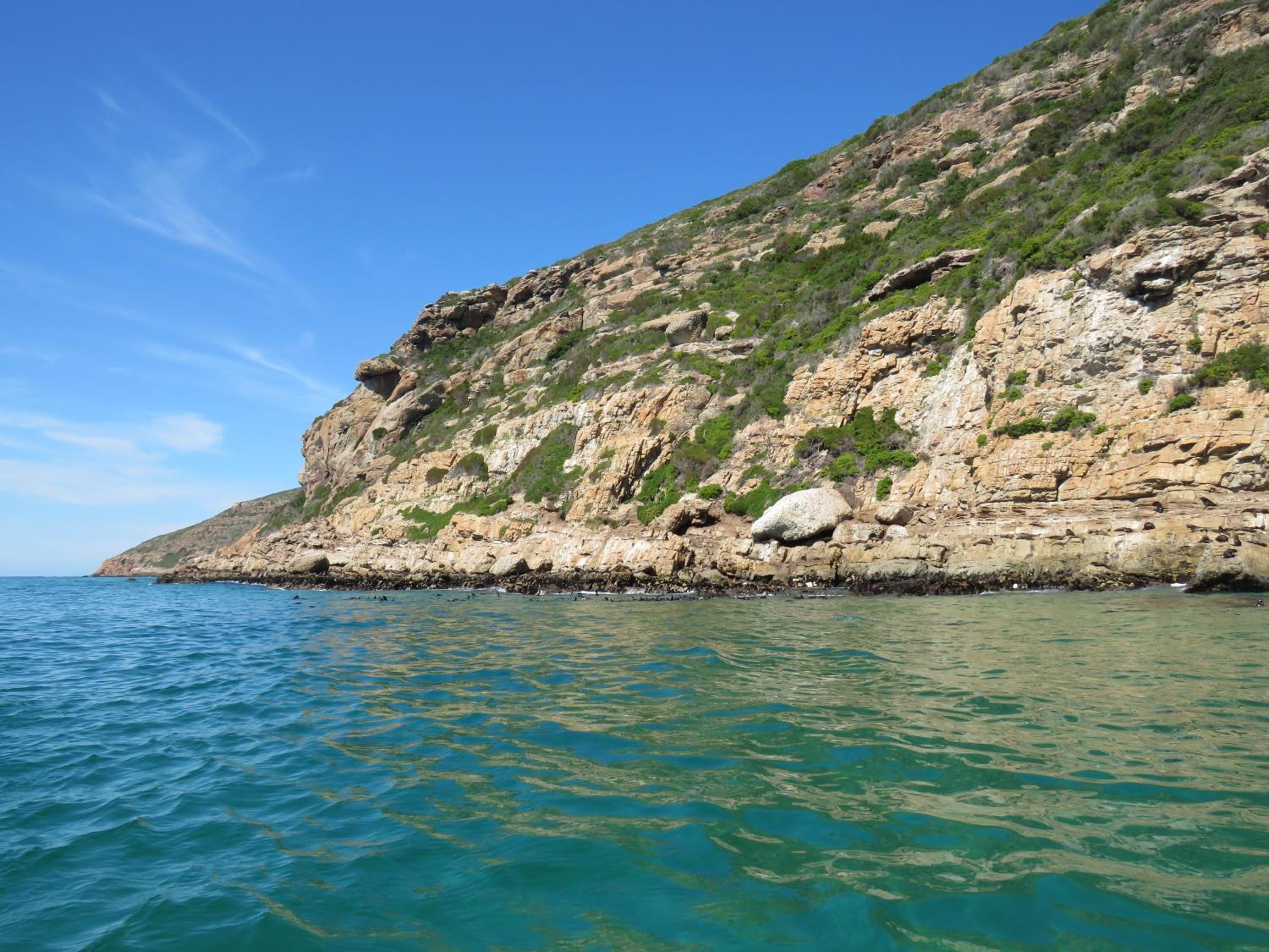 Plett D'light