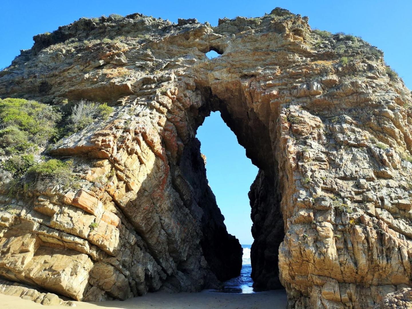 Plett D'light