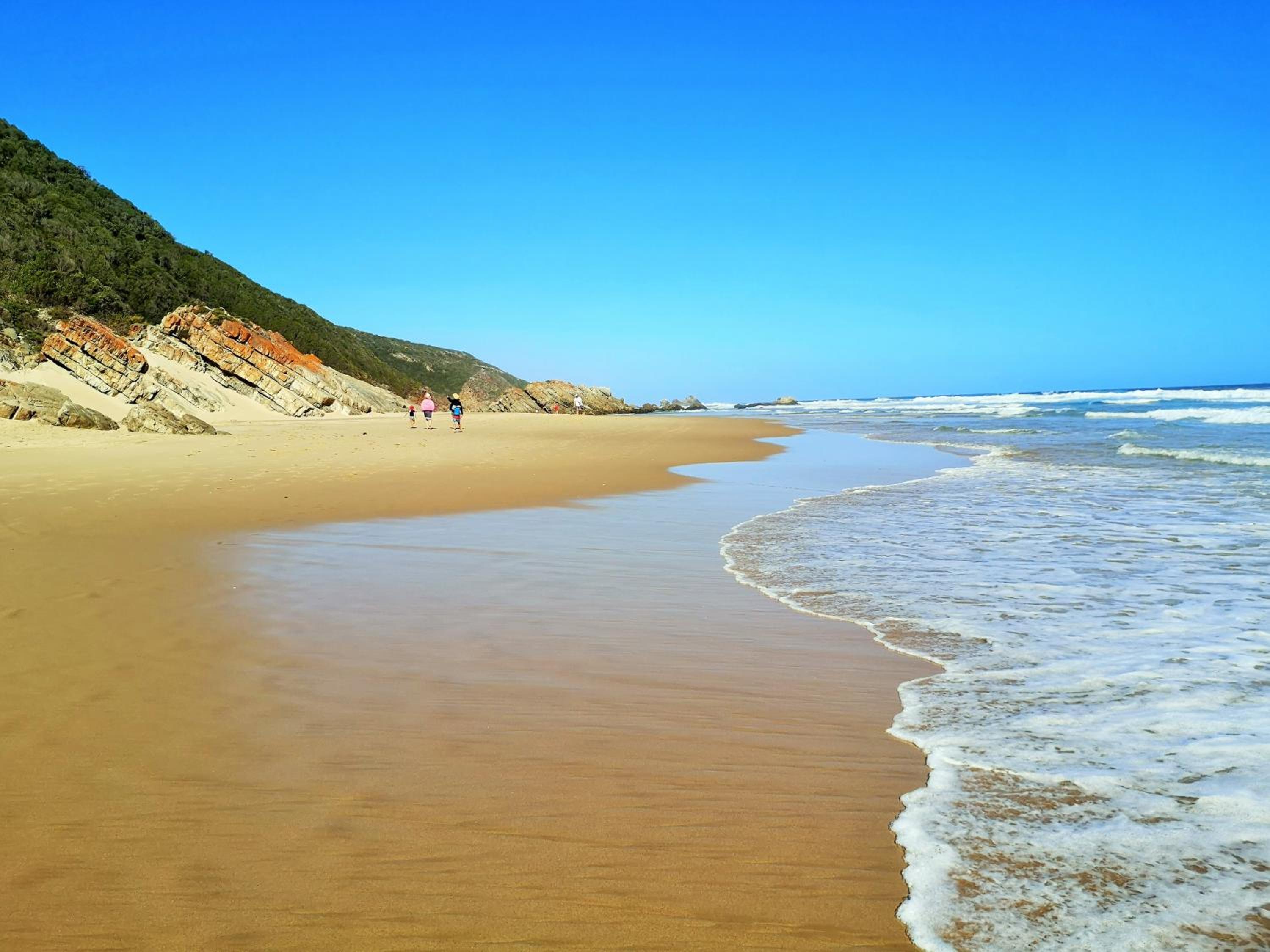 Plett D'light