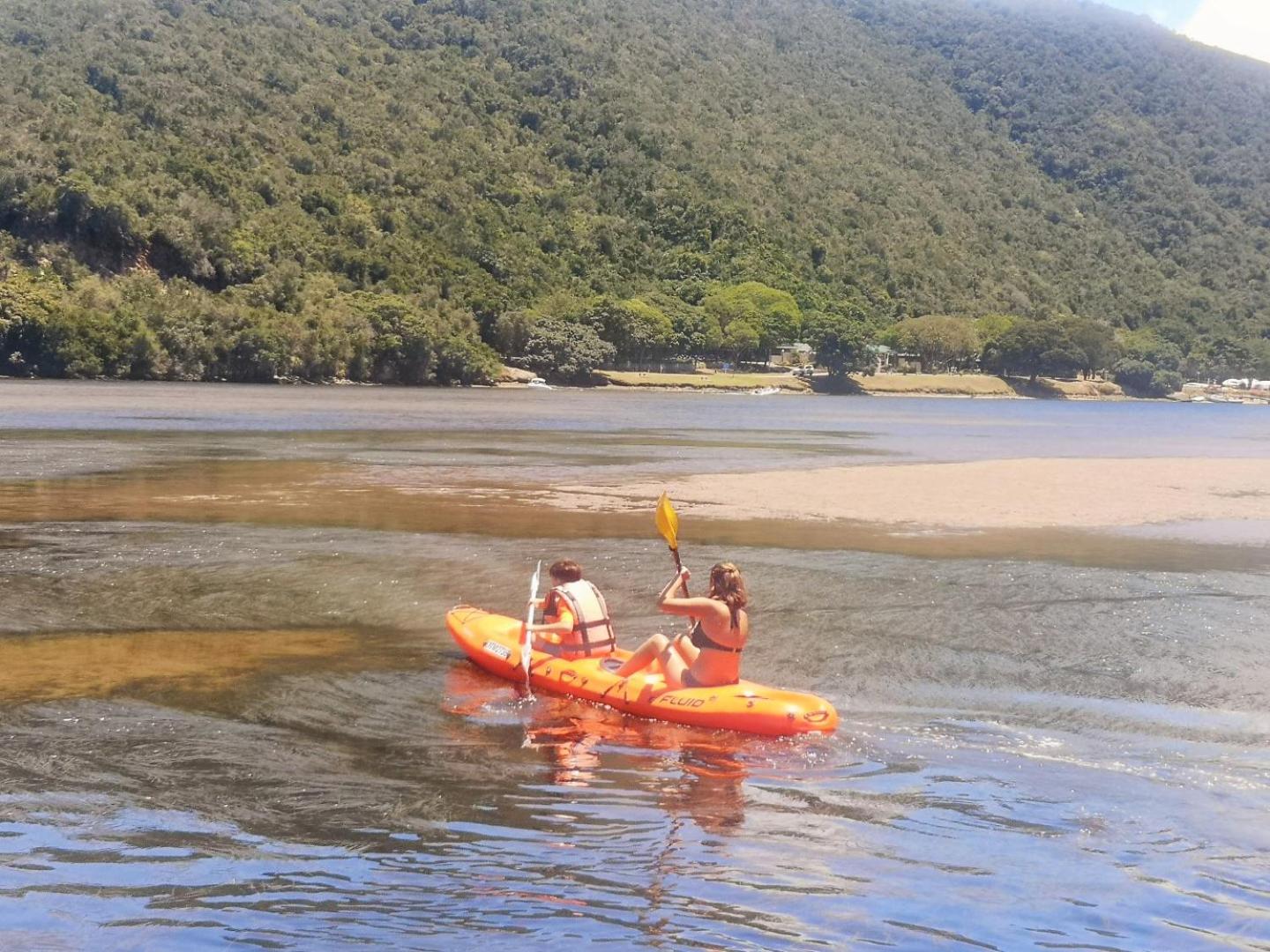 Plett D'light