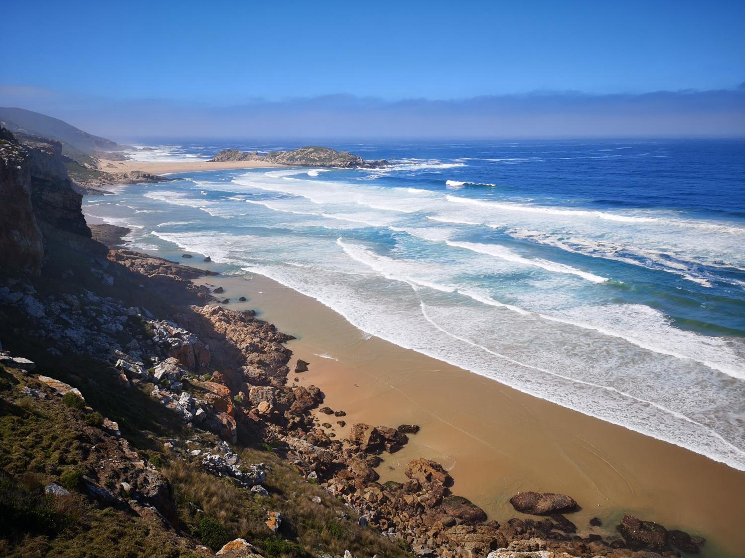 Plett D'light