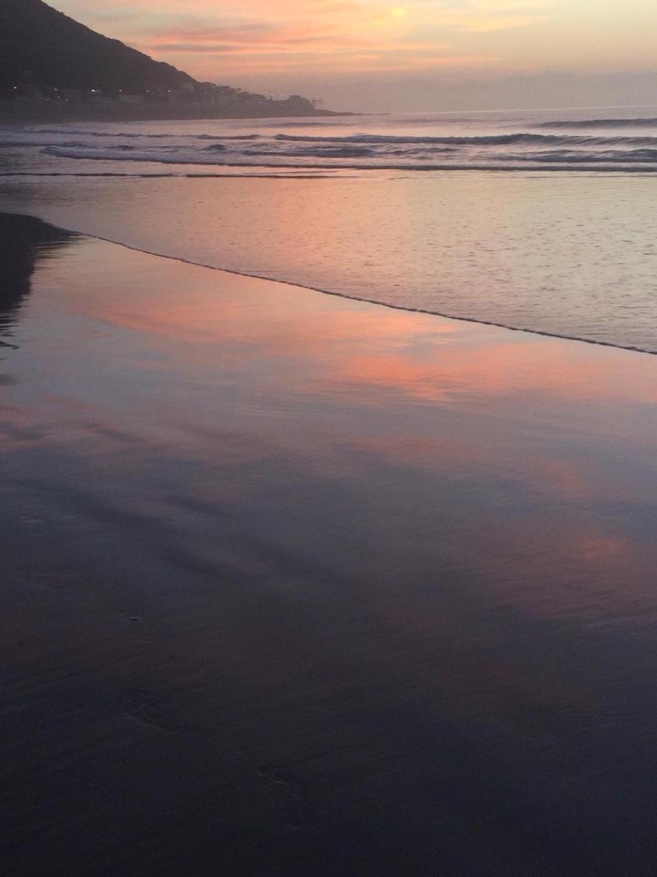 Plett D'light