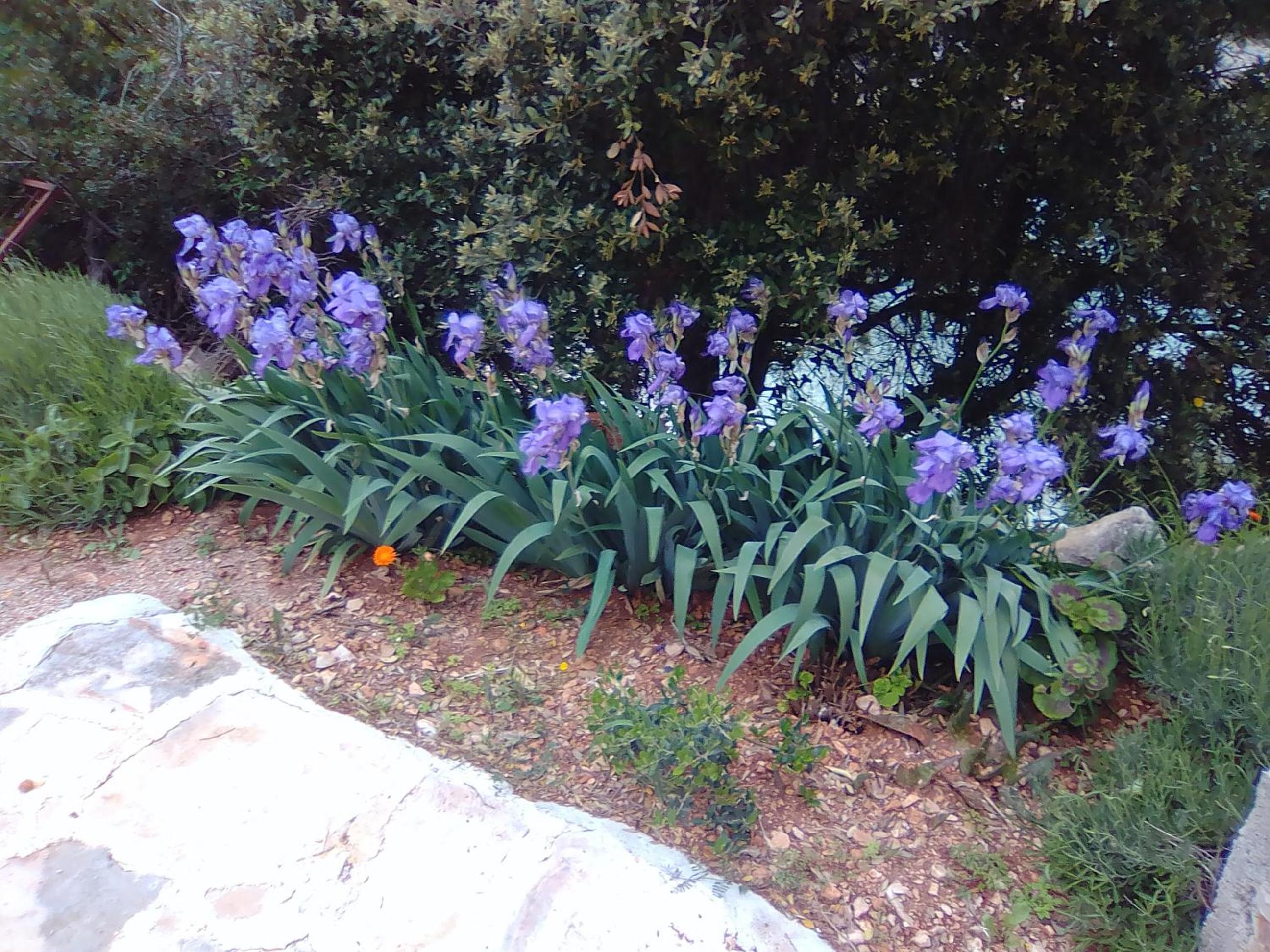 Photo 41