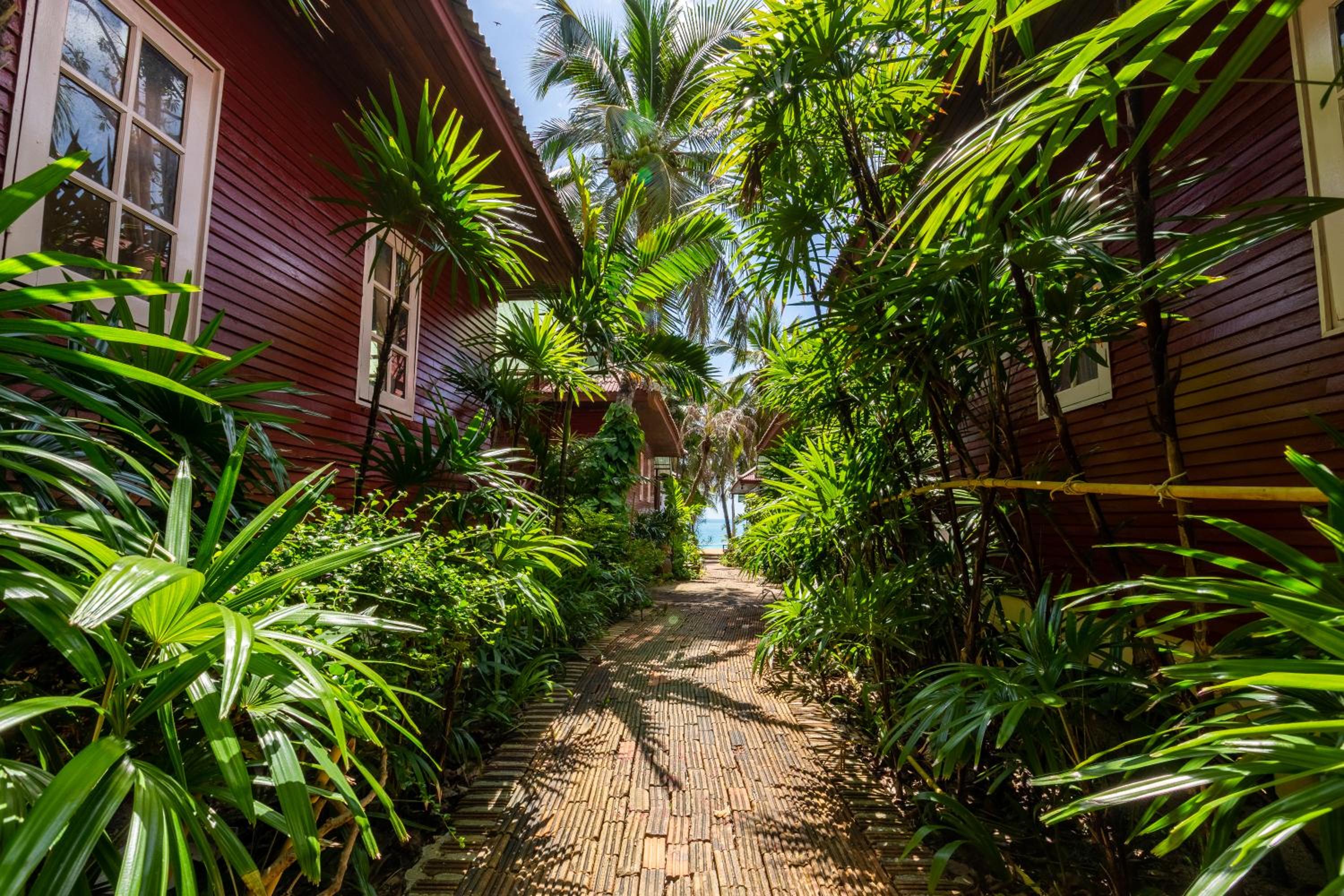 Chaweng Bliss Bungalow