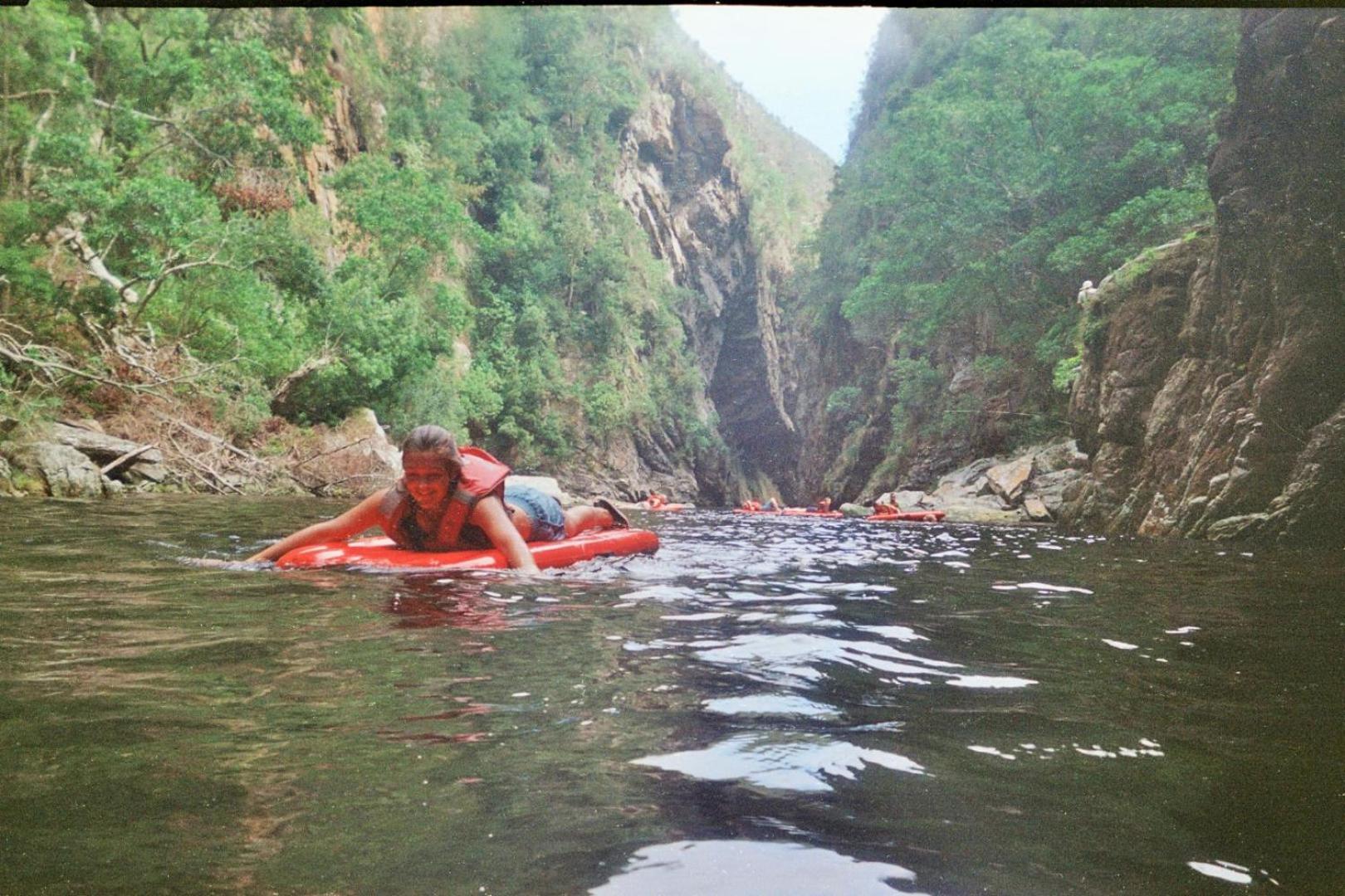 Plett D'light