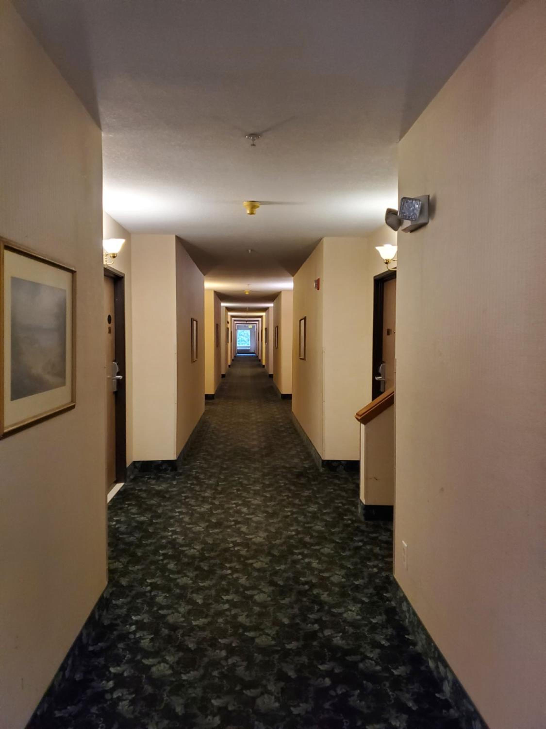 Bellis Inn