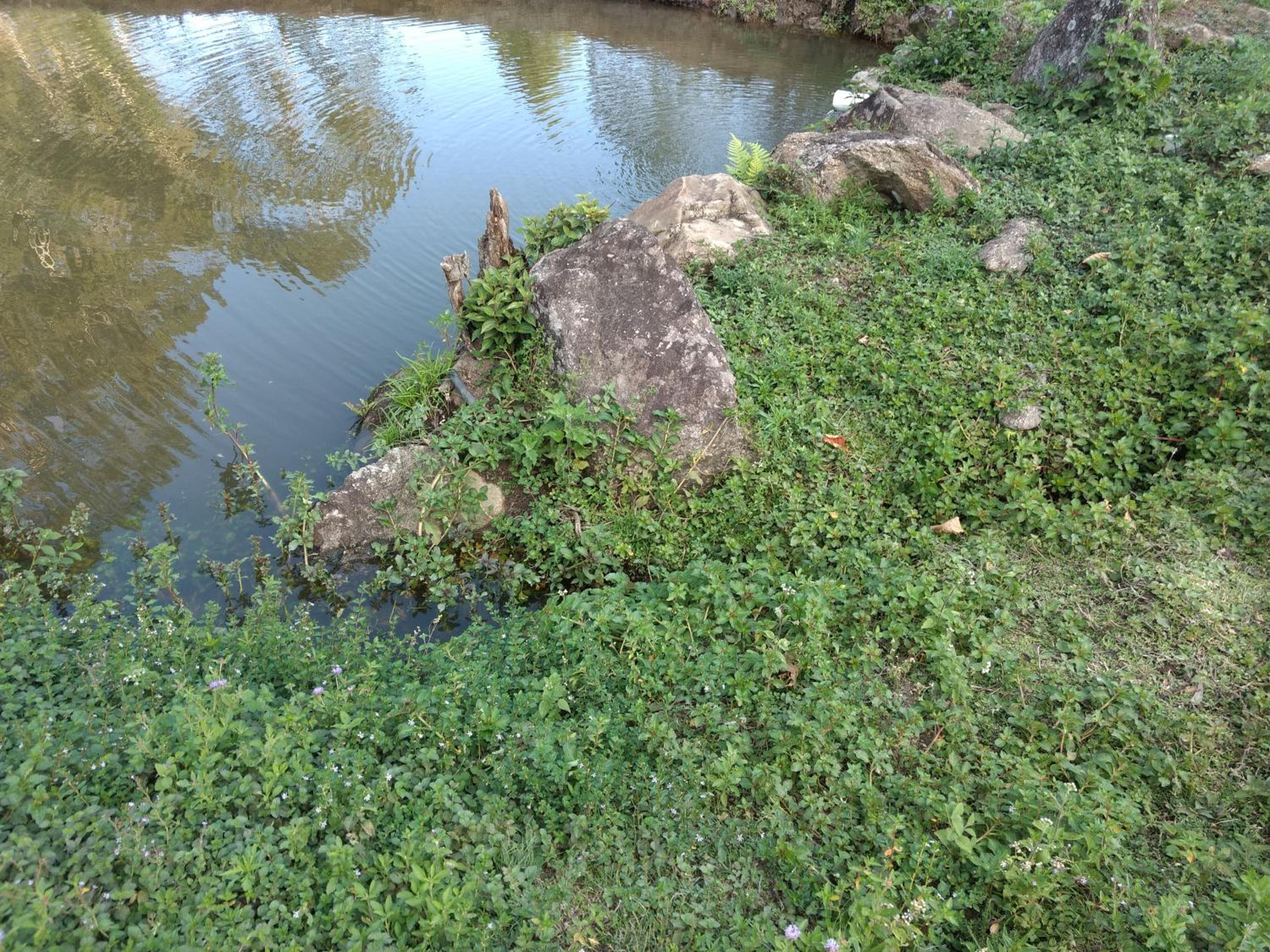 Photo 80